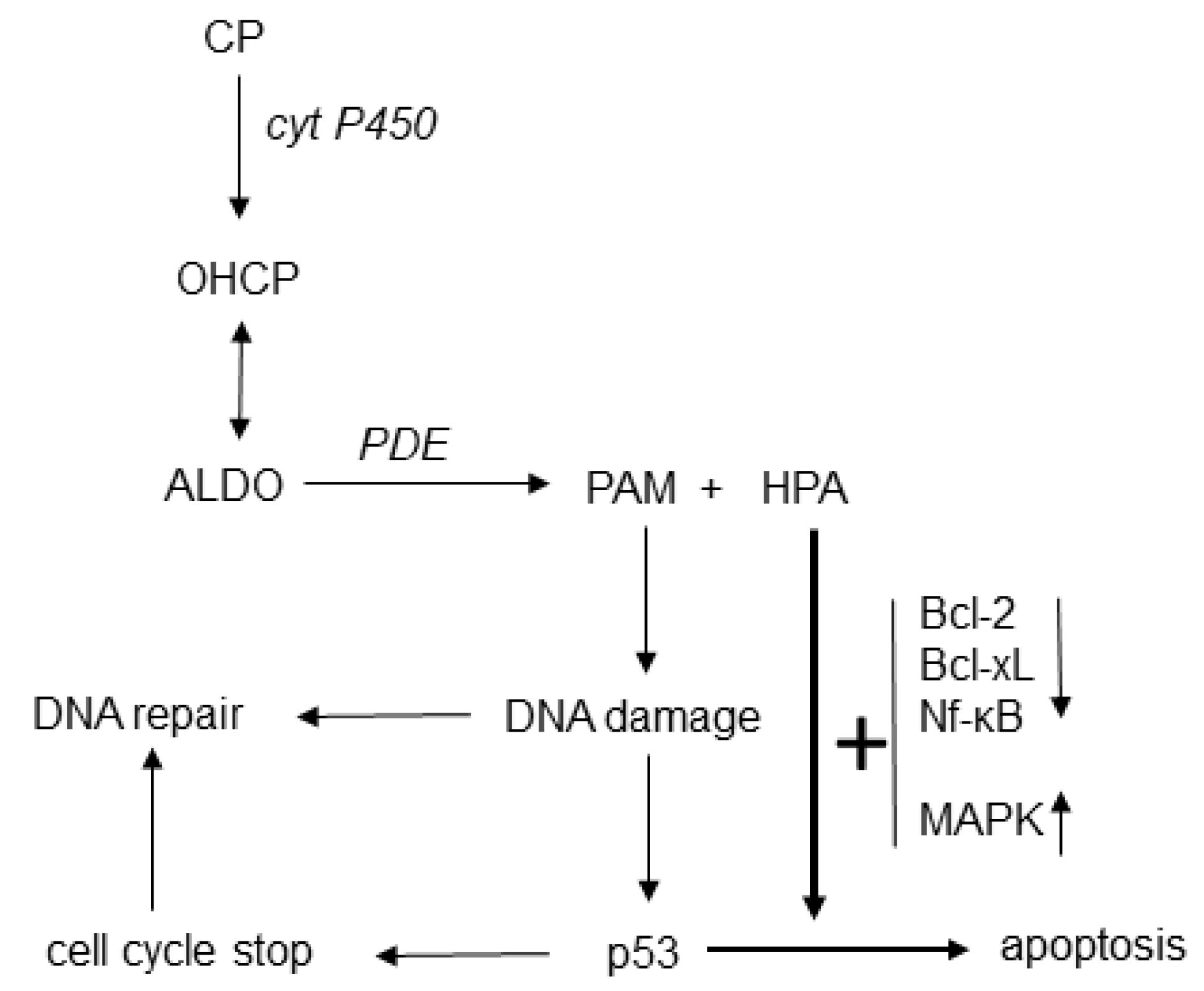 Scipharm 88 00042 g003