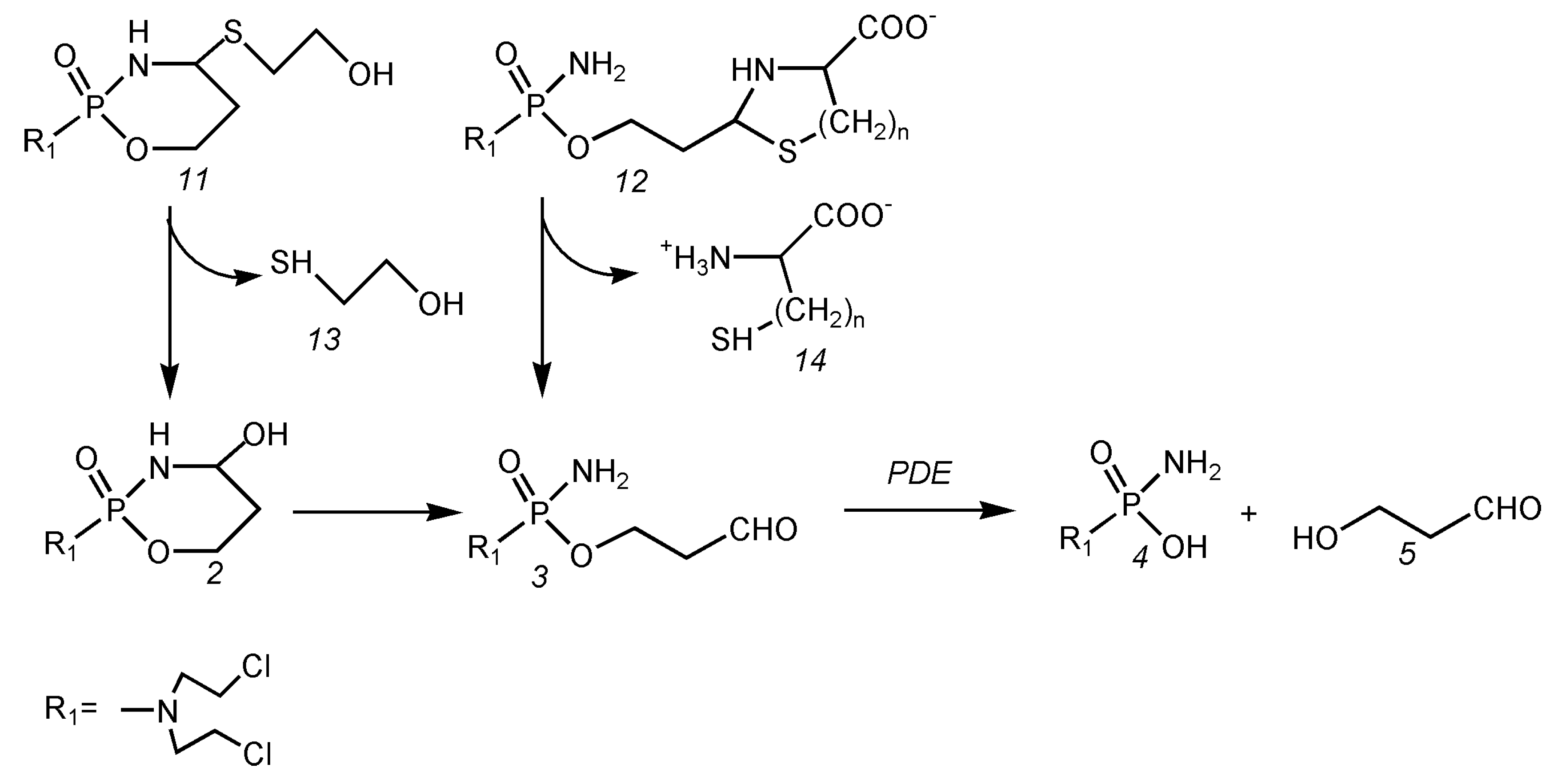 Scipharm 88 00042 g004