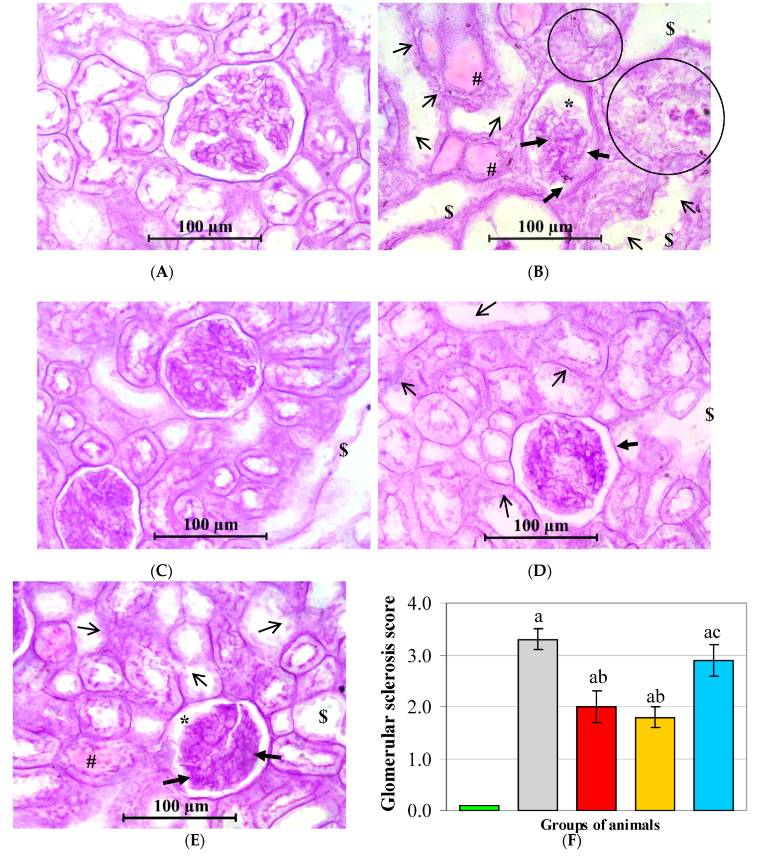 Scipharm 88 00047 g004a