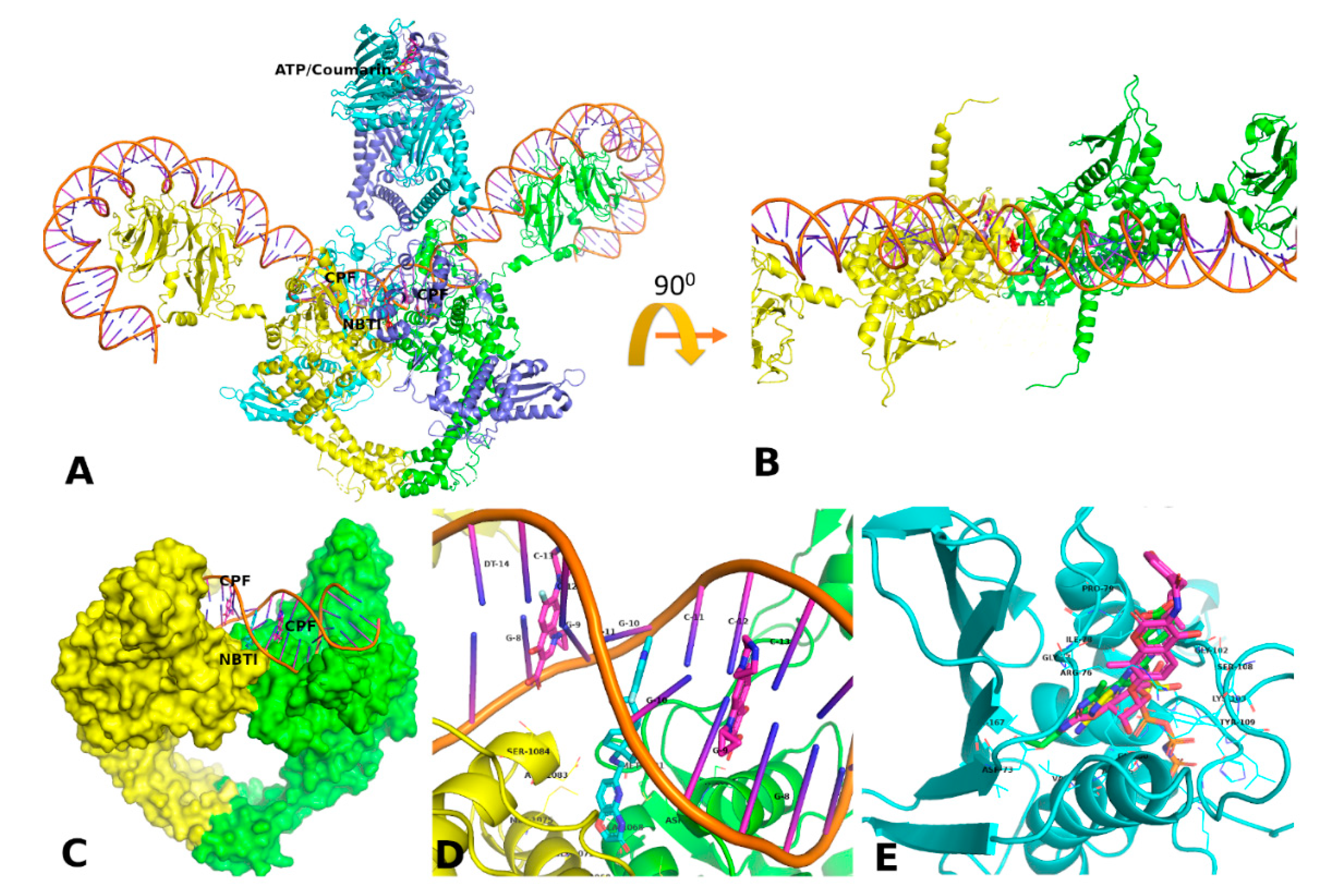 Scipharm 88 00057 g002