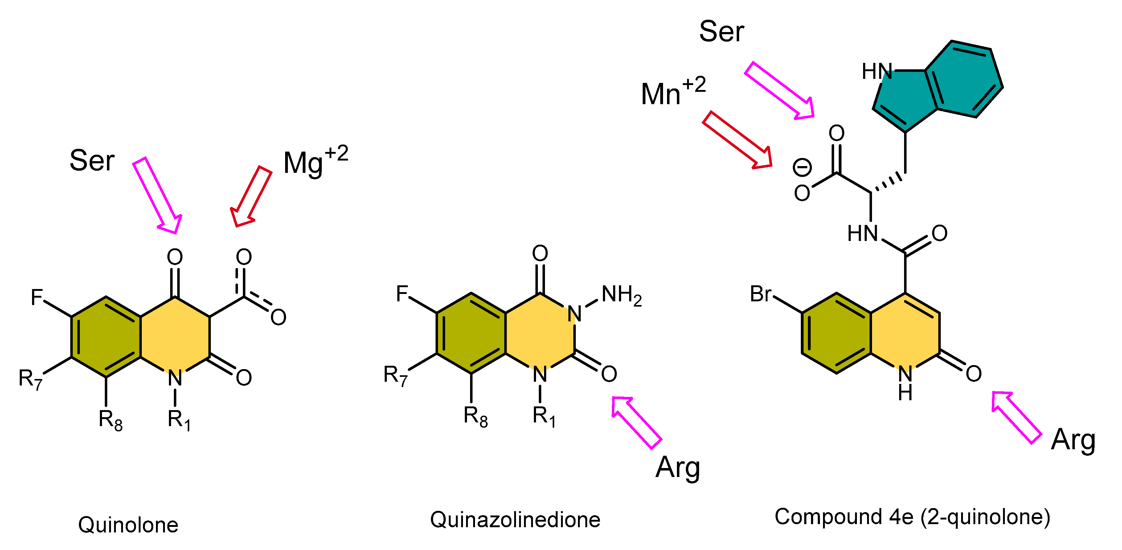 Scipharm 88 00057 g005