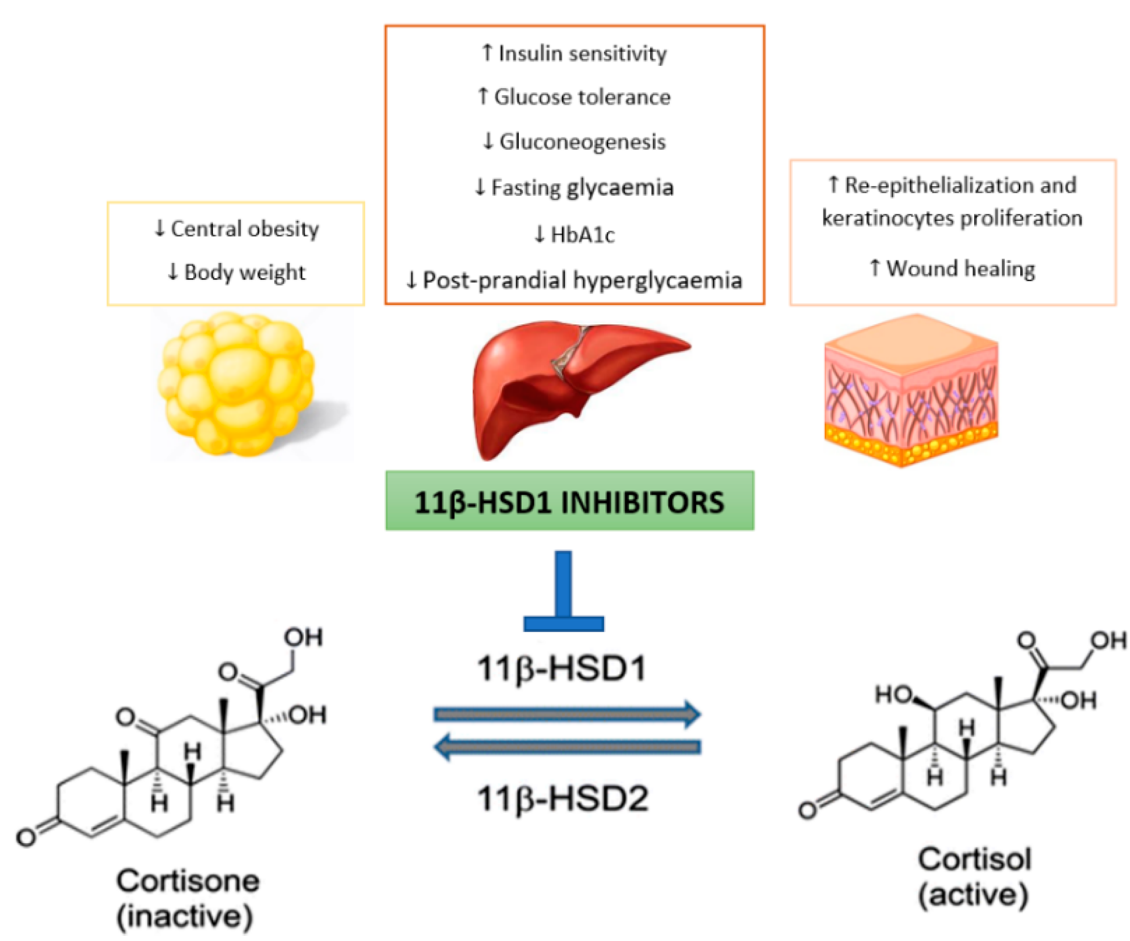 Scipharm 89 00005 g001