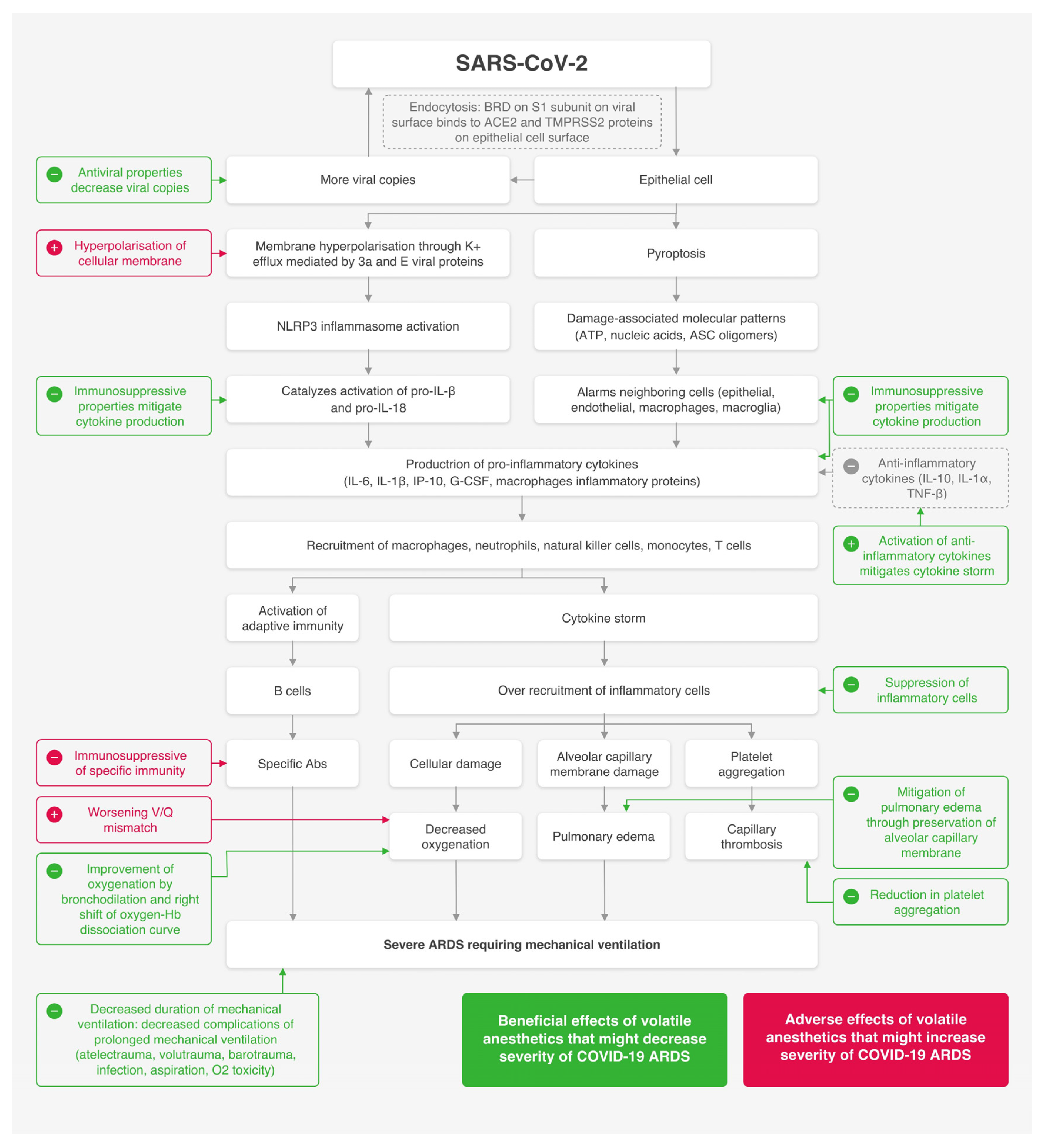 Scipharm 89 00006 g001