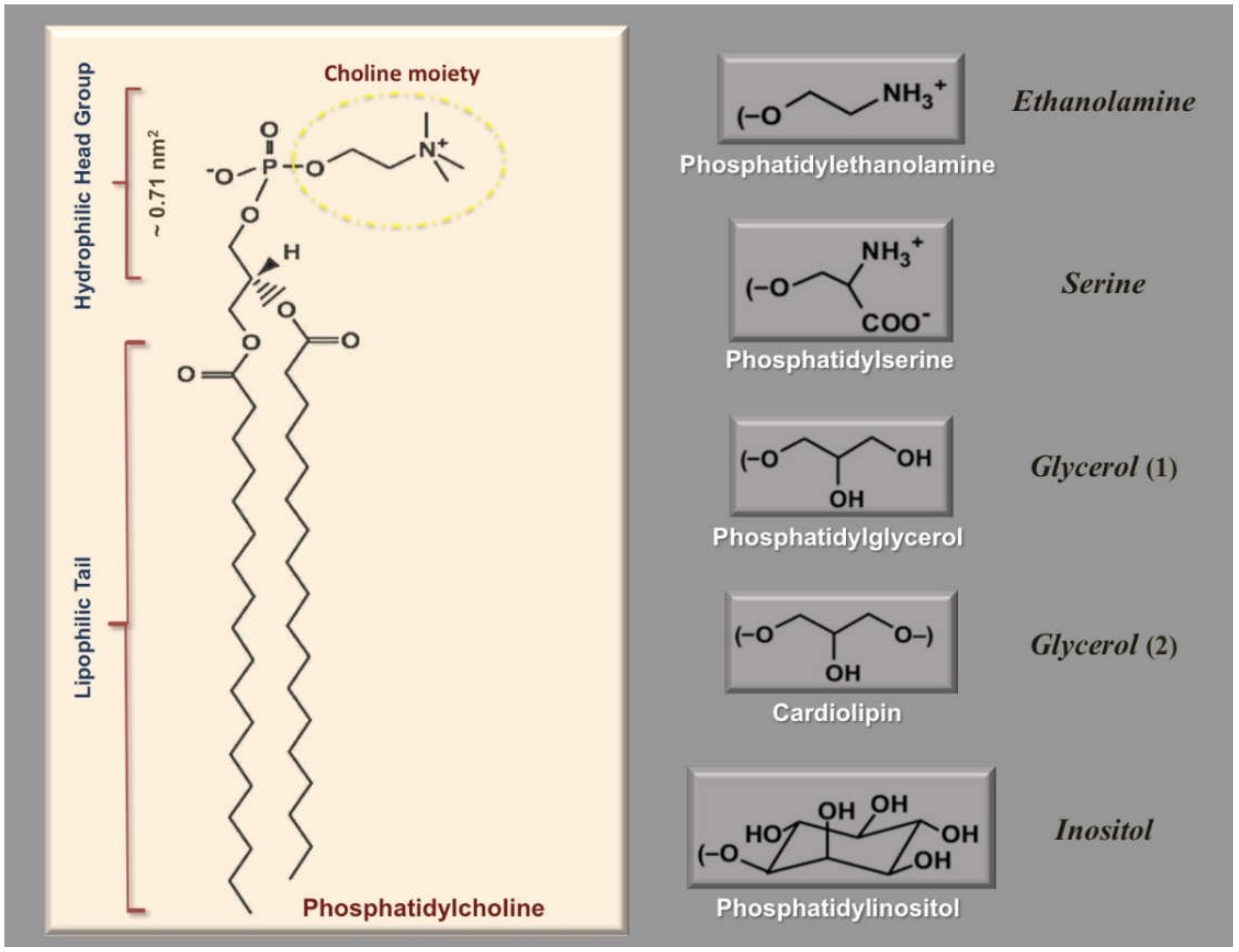 Scipharm 89 00015 g001