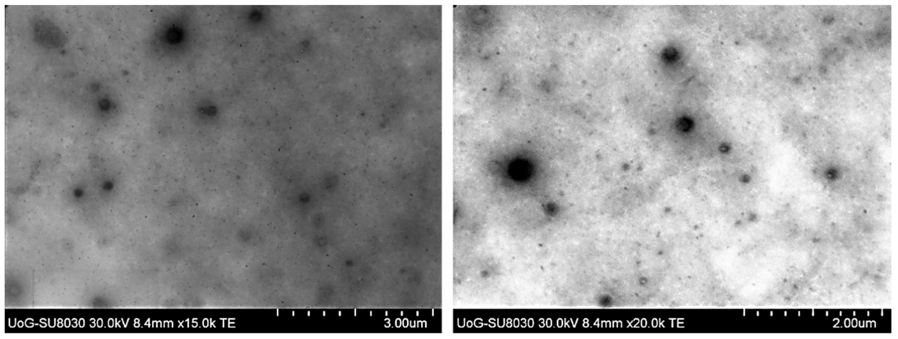 Scipharm 89 00025 g006