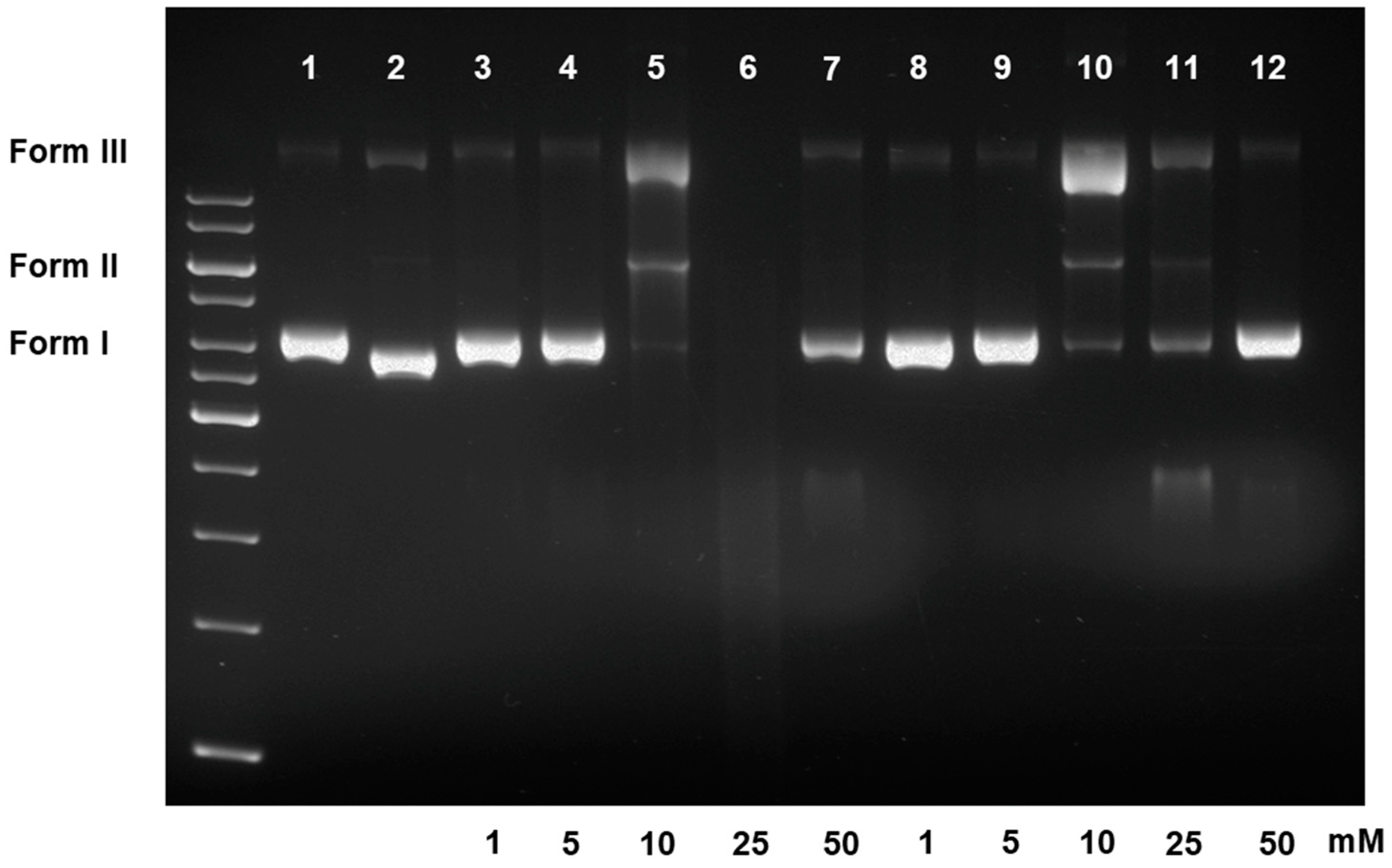 Scipharm 89 00026 g002 Scipharm 89 00026 g002