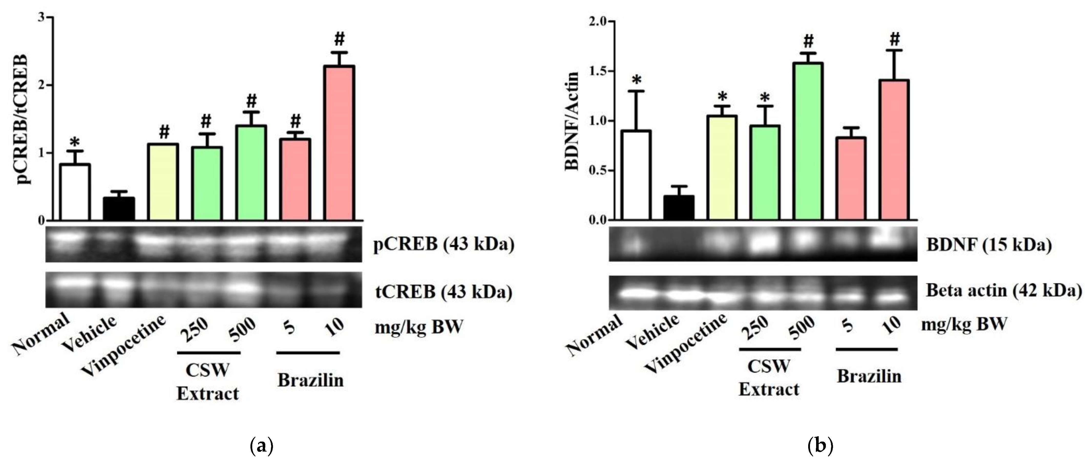Scipharm 89 00029 g005