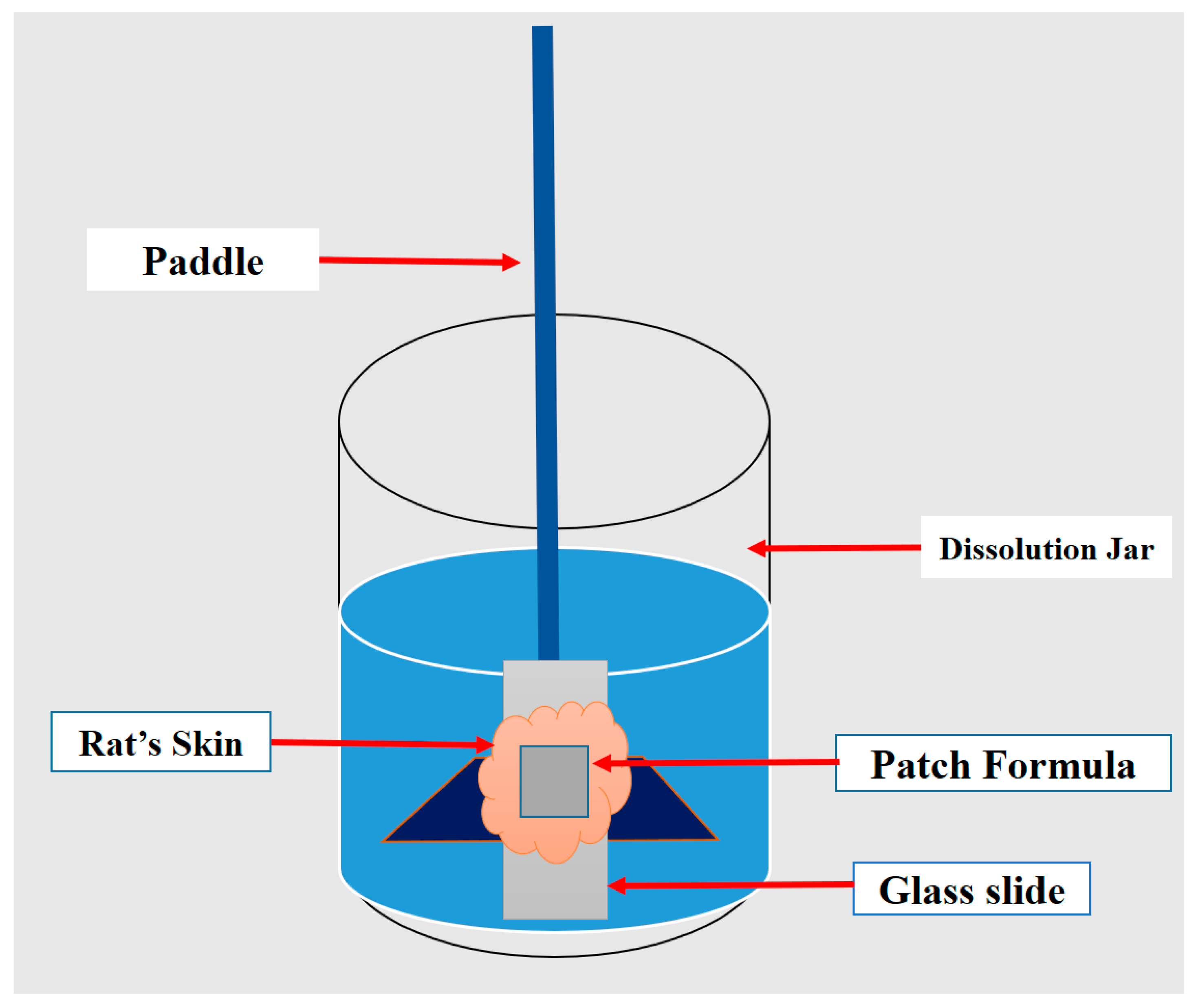 Scipharm 89 00033 g002 Scipharm 89 00033 g002
