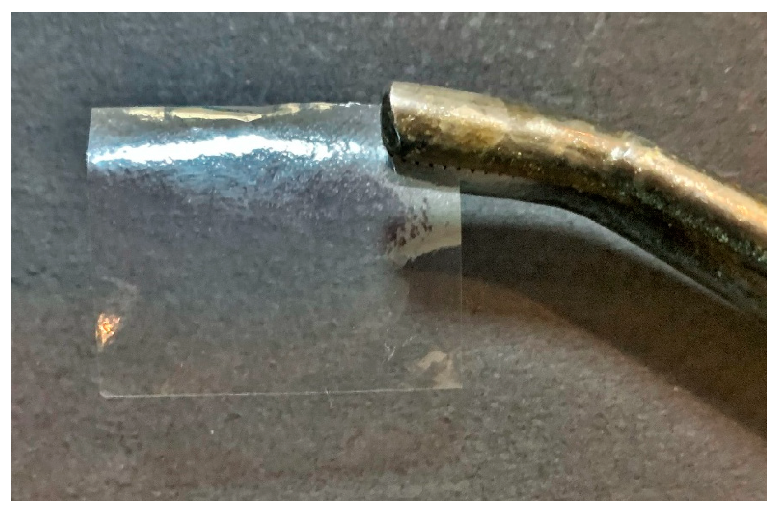 Scipharm 89 00033 g003 Scipharm 89 00033 g003