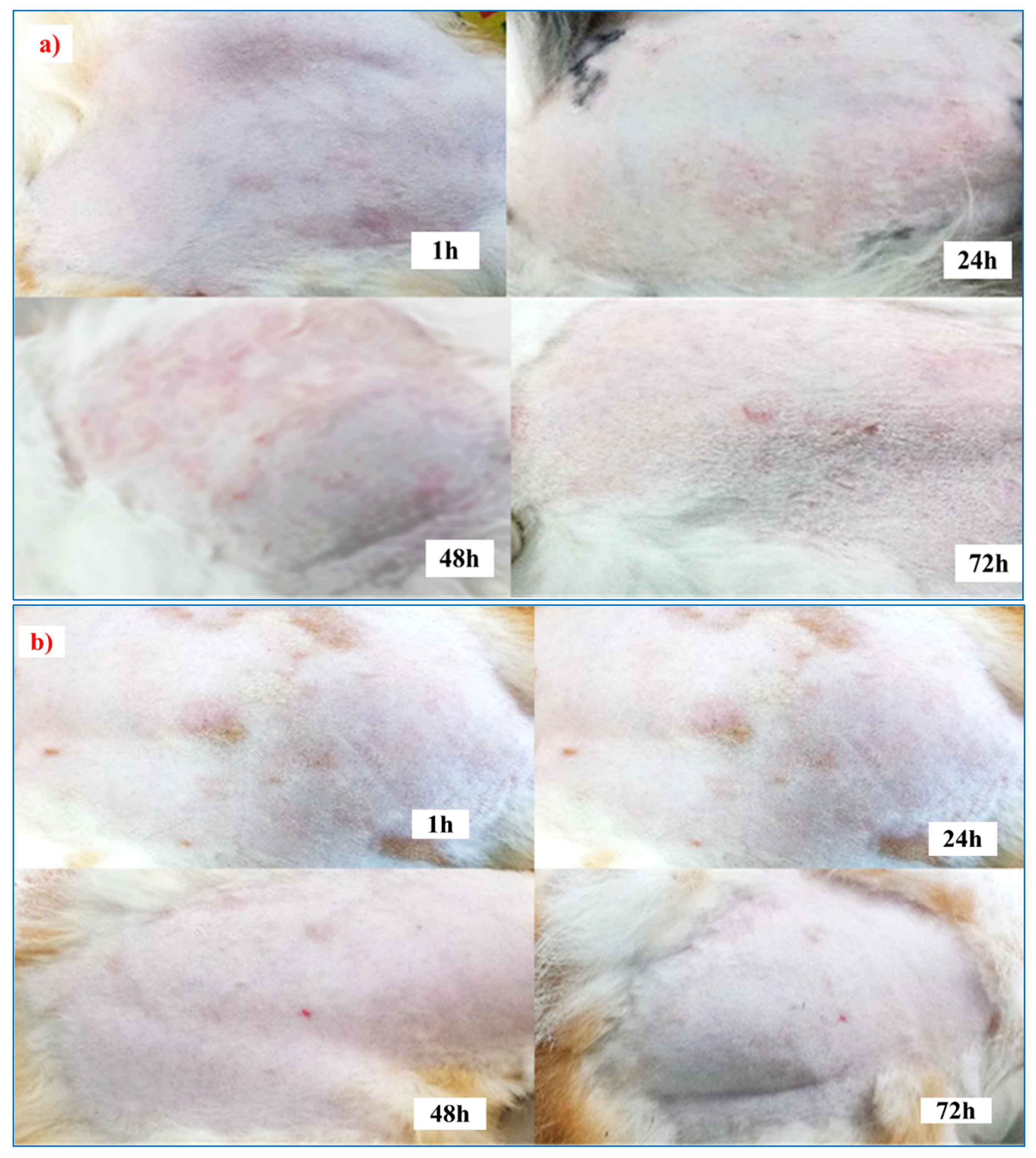 Scipharm 89 00033 g010 Scipharm 89 00033 g010