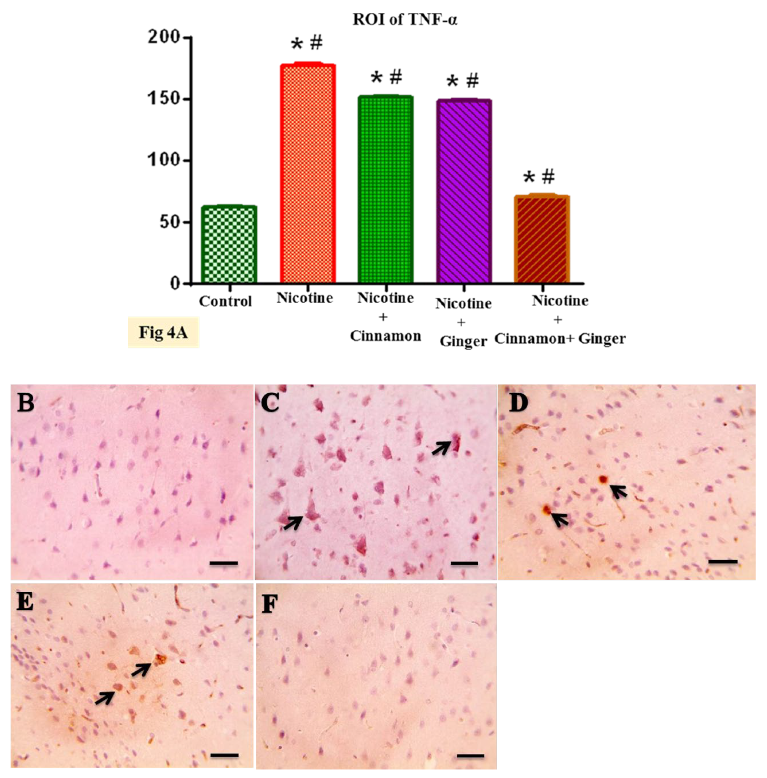Scipharm 89 00041 g004