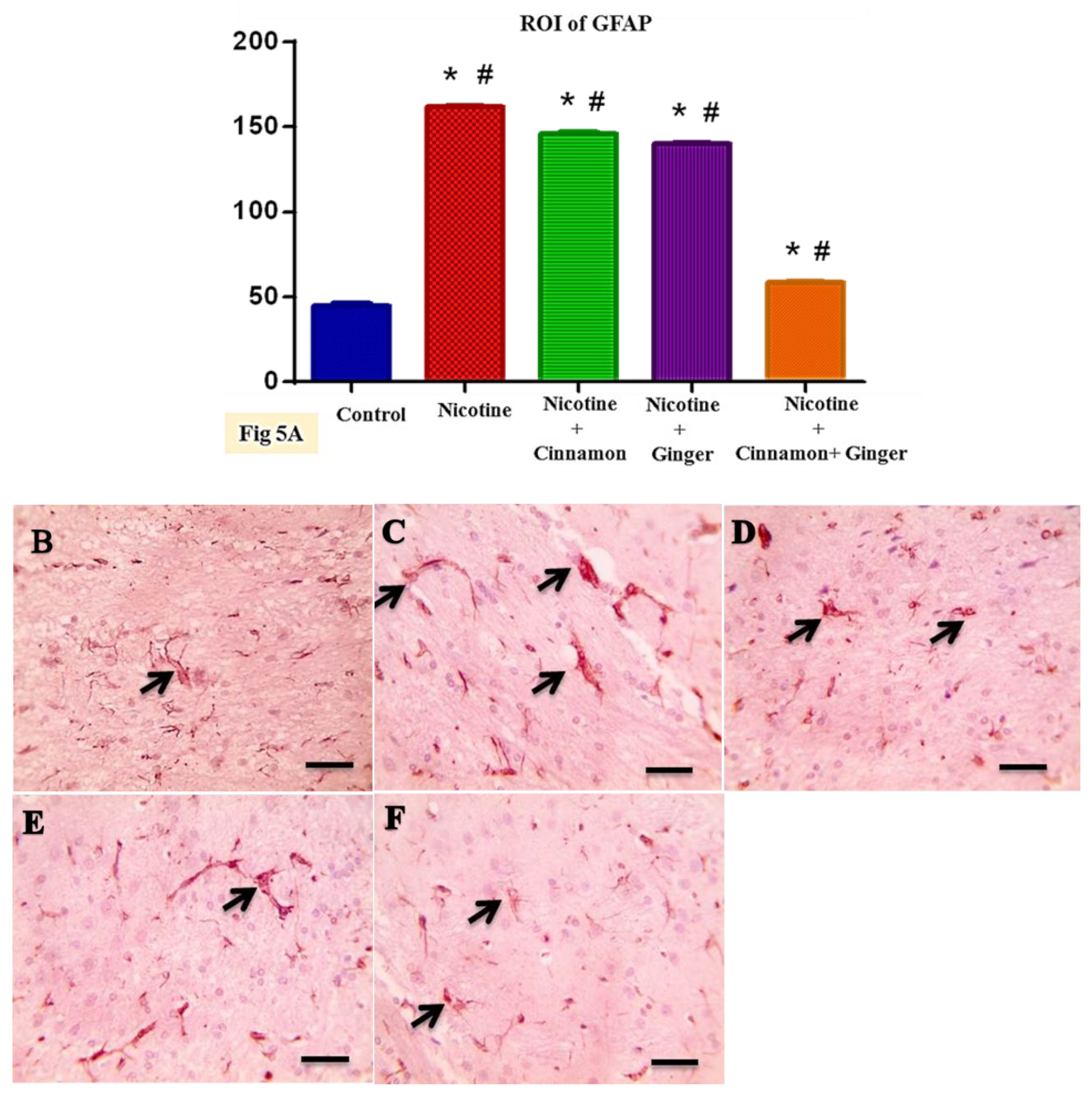 Scipharm 89 00041 g005