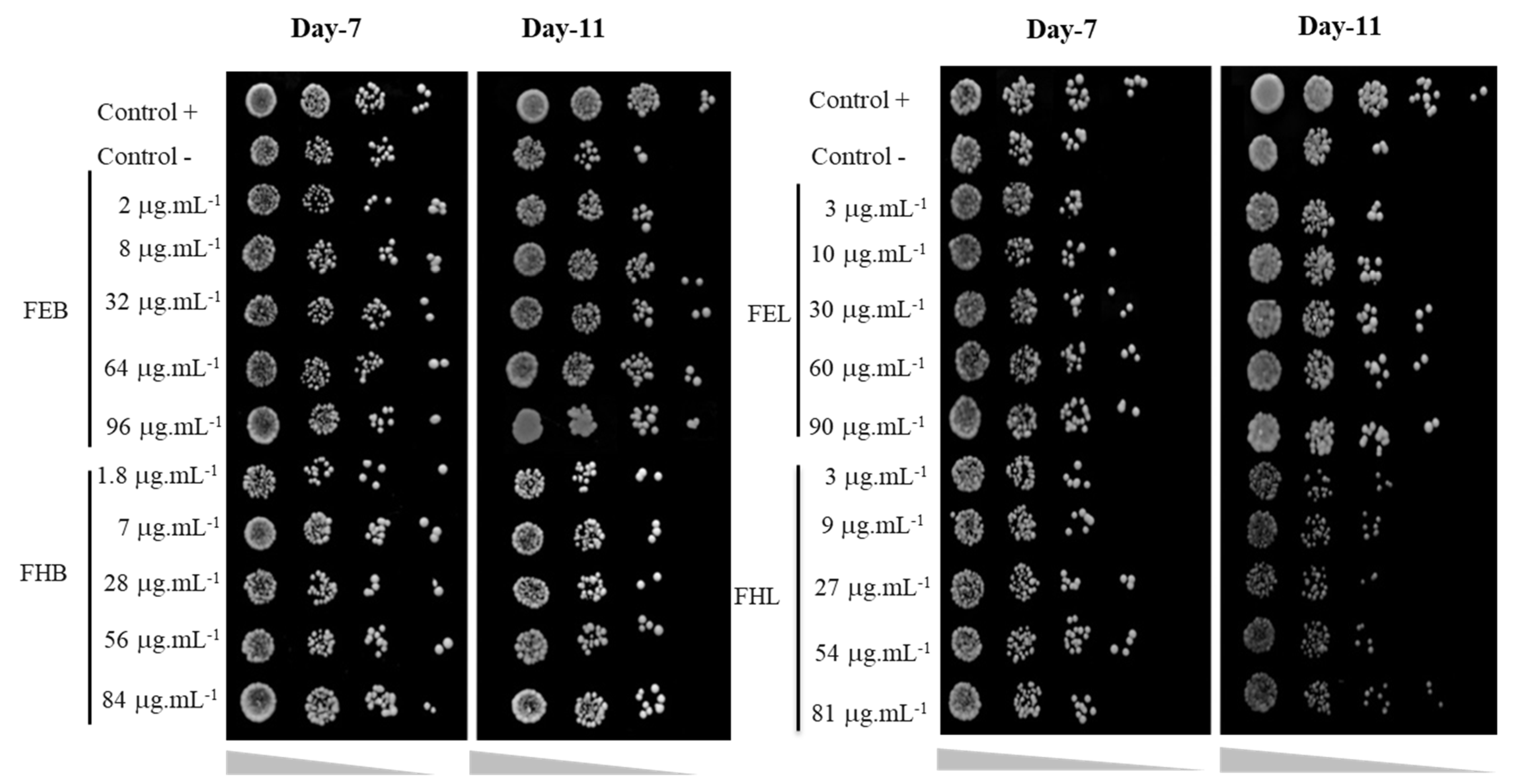 Scipharm 89 00045 g001