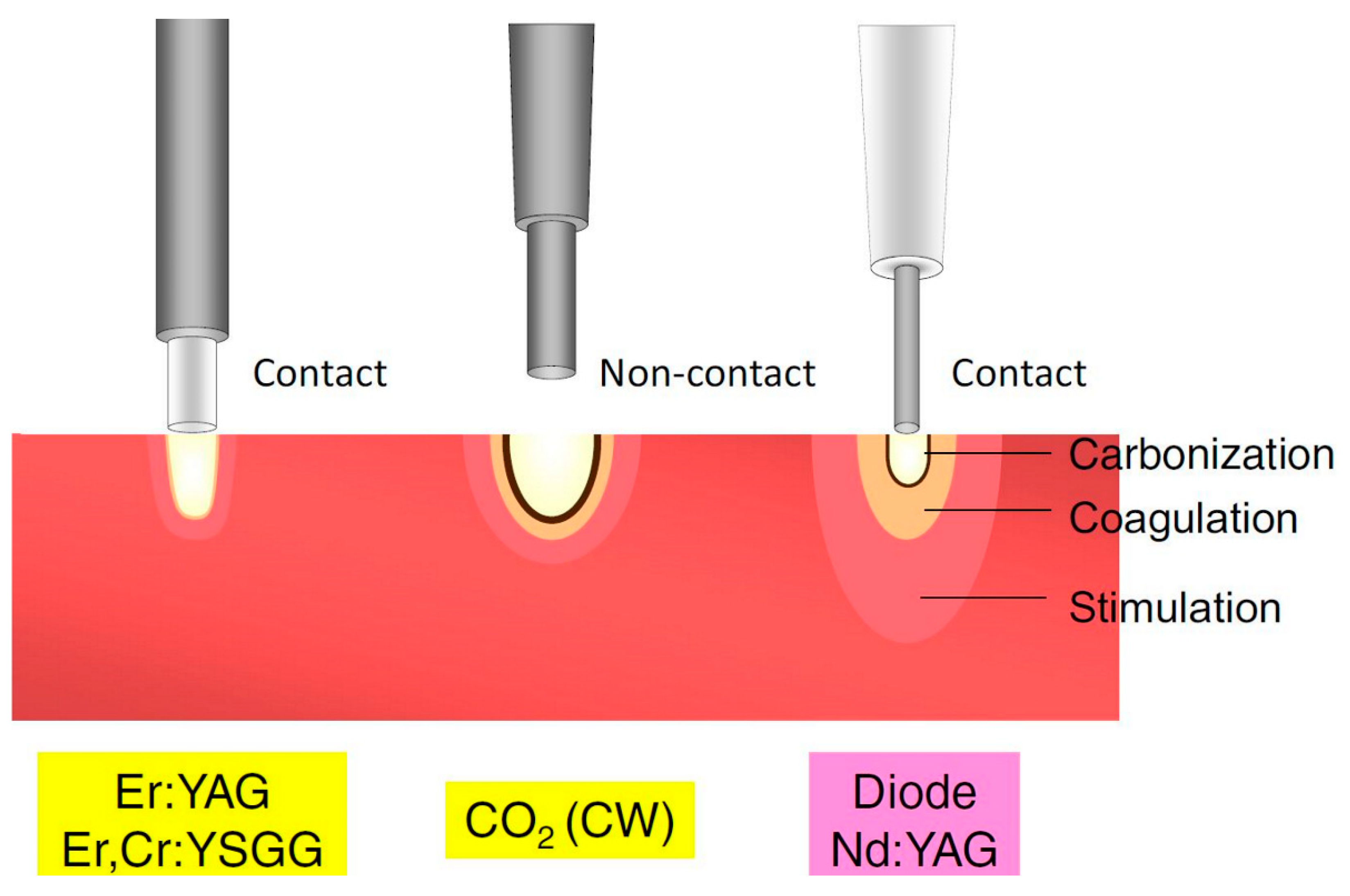 Scipharm 89 00046 g002