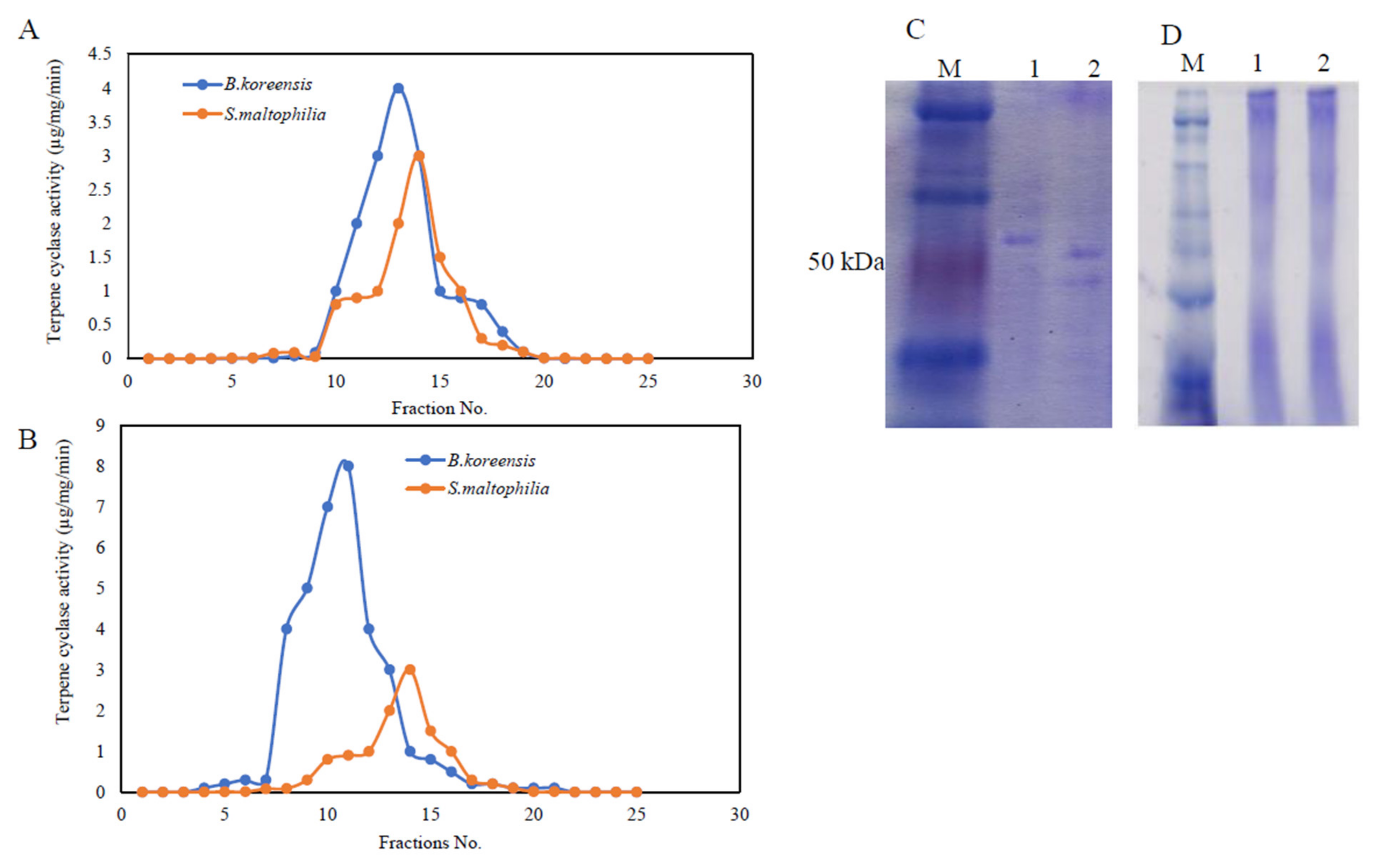 Scipharm 89 00048 g004