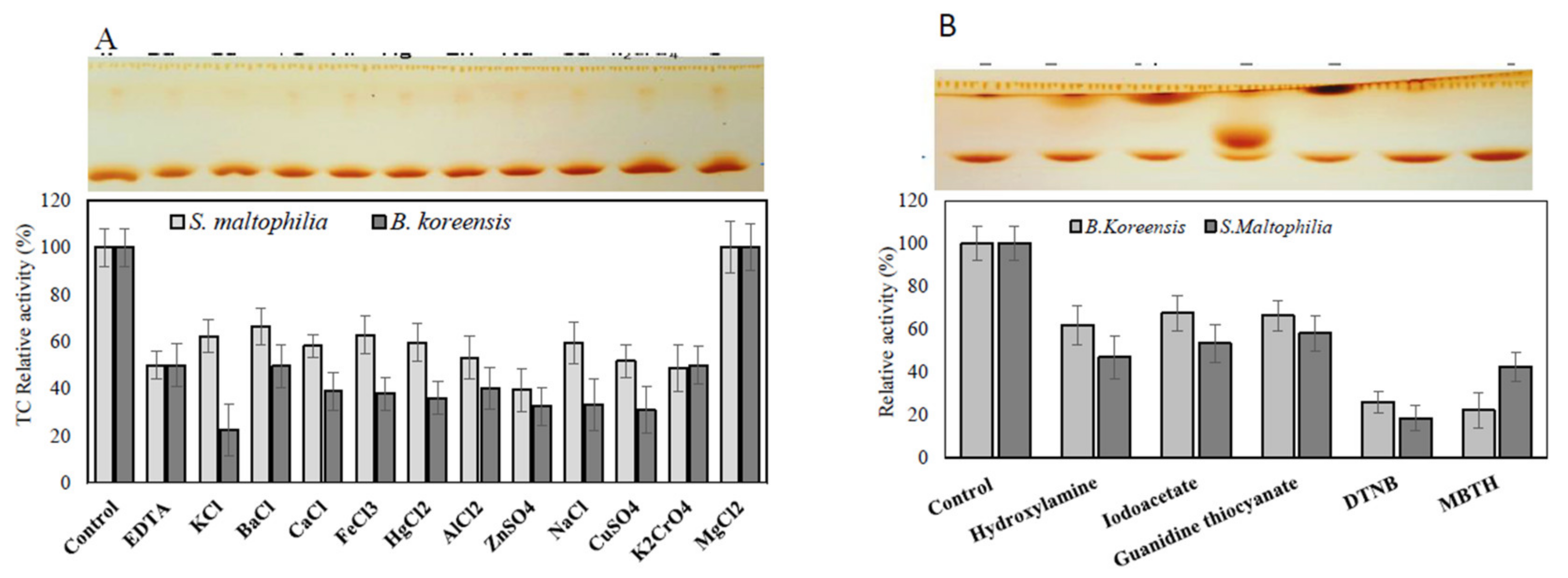 Scipharm 89 00048 g006