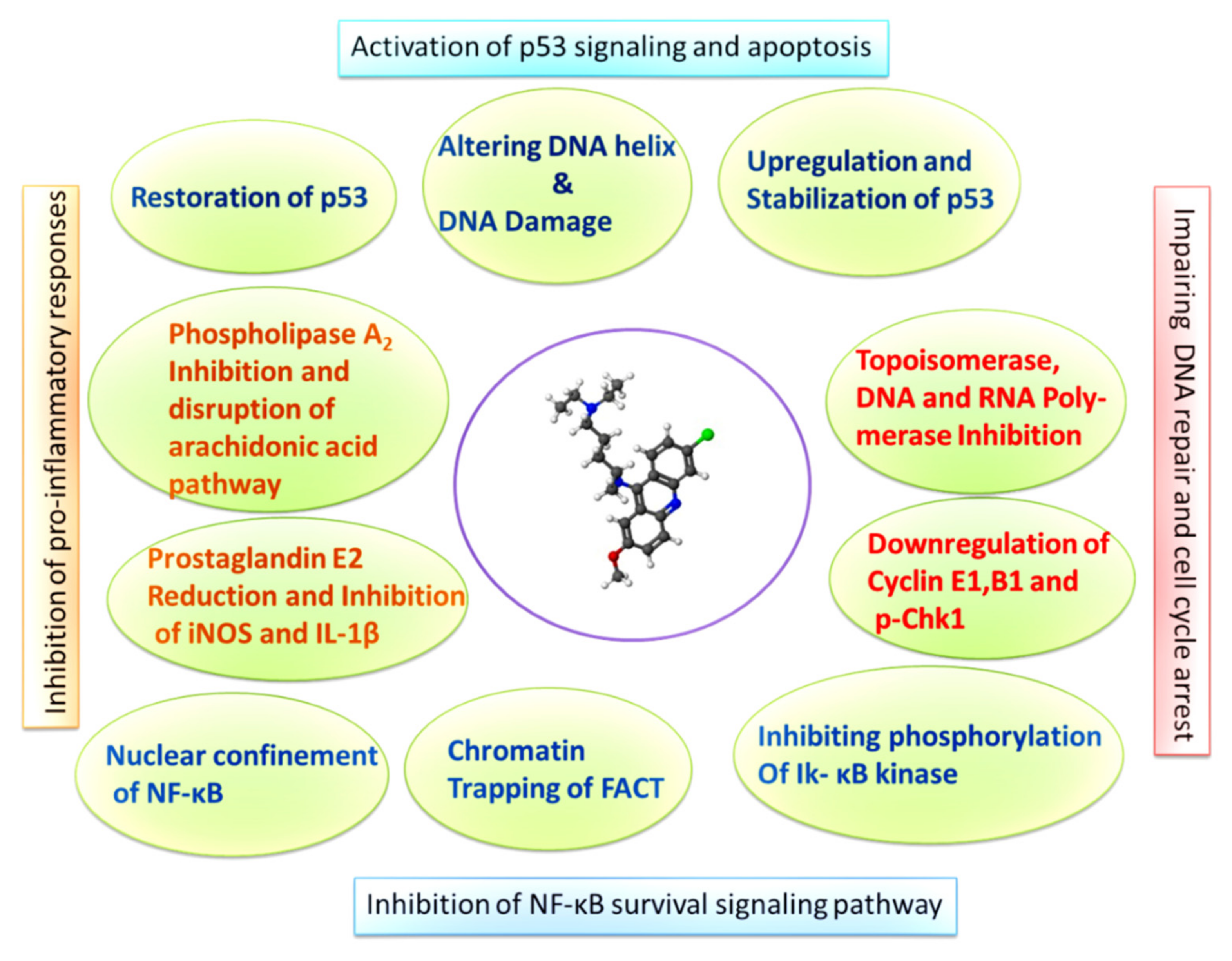 Scipharm 90 00012 g001