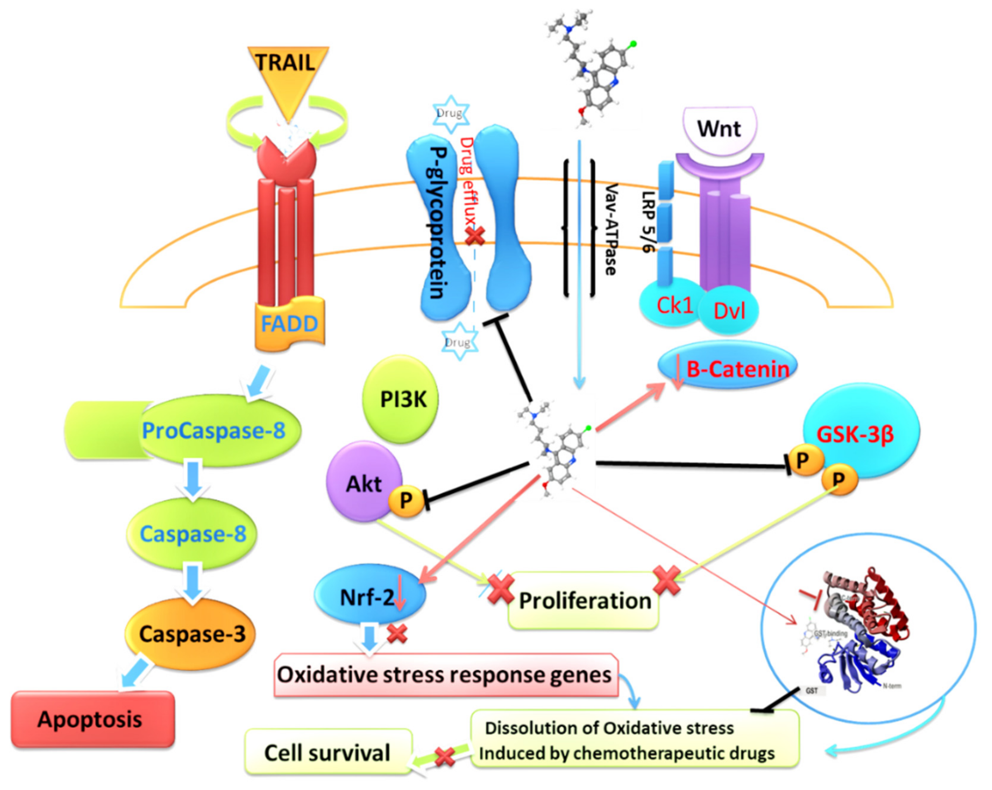 Scipharm 90 00012 g002