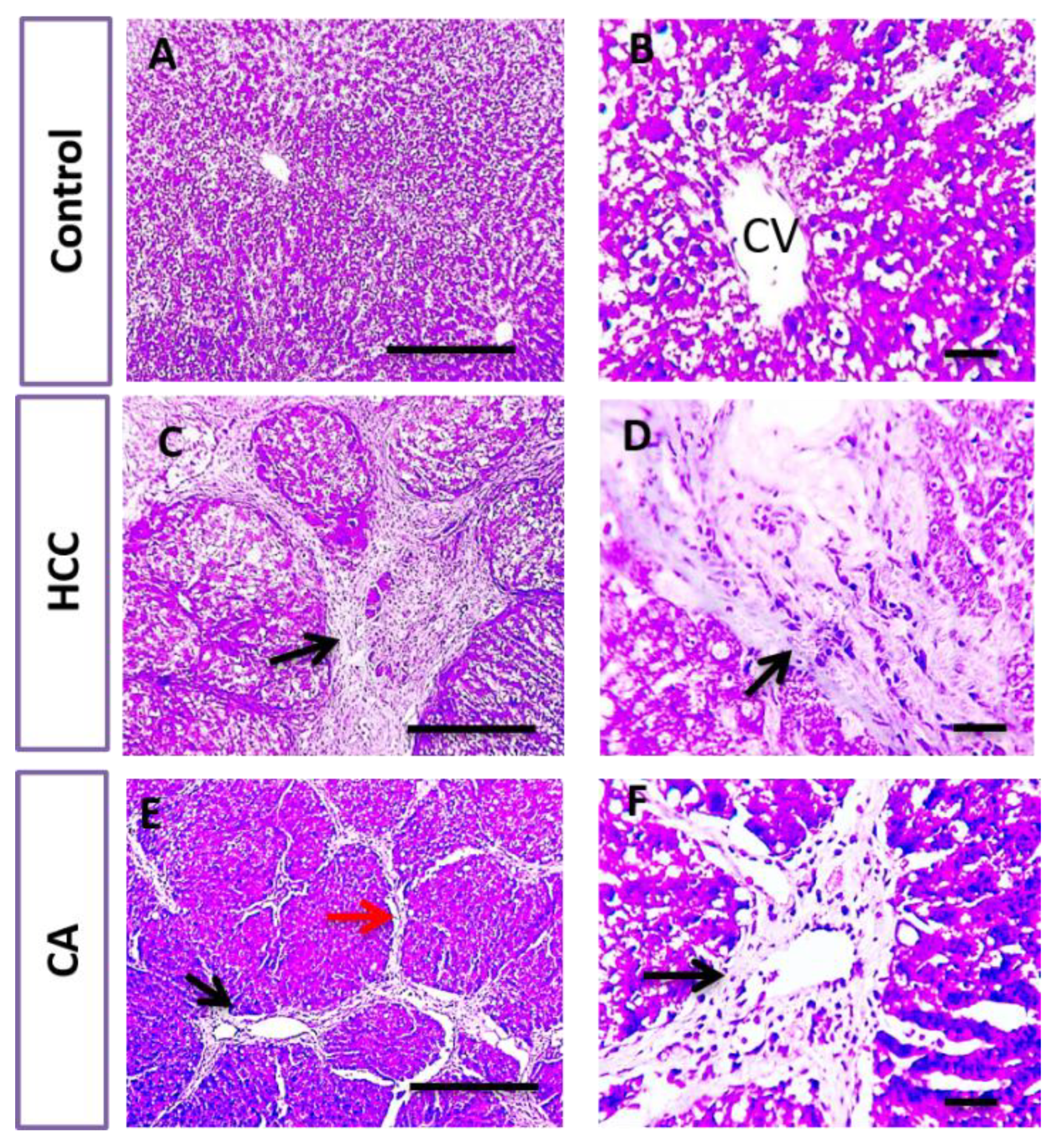 Scipharm 90 00022 g004 Scipharm 90 00022 g004