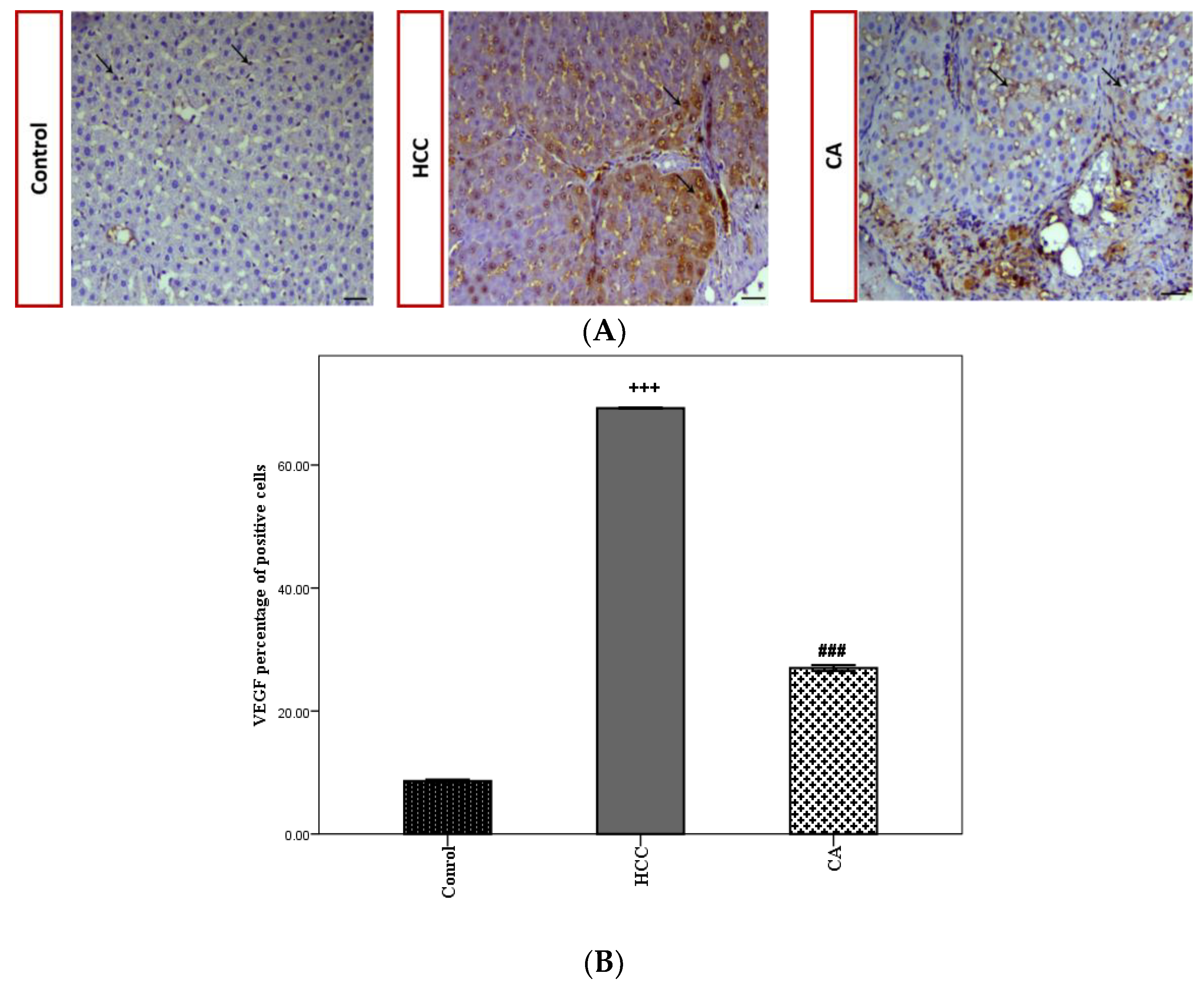Scipharm 90 00022 g006 Scipharm 90 00022 g006