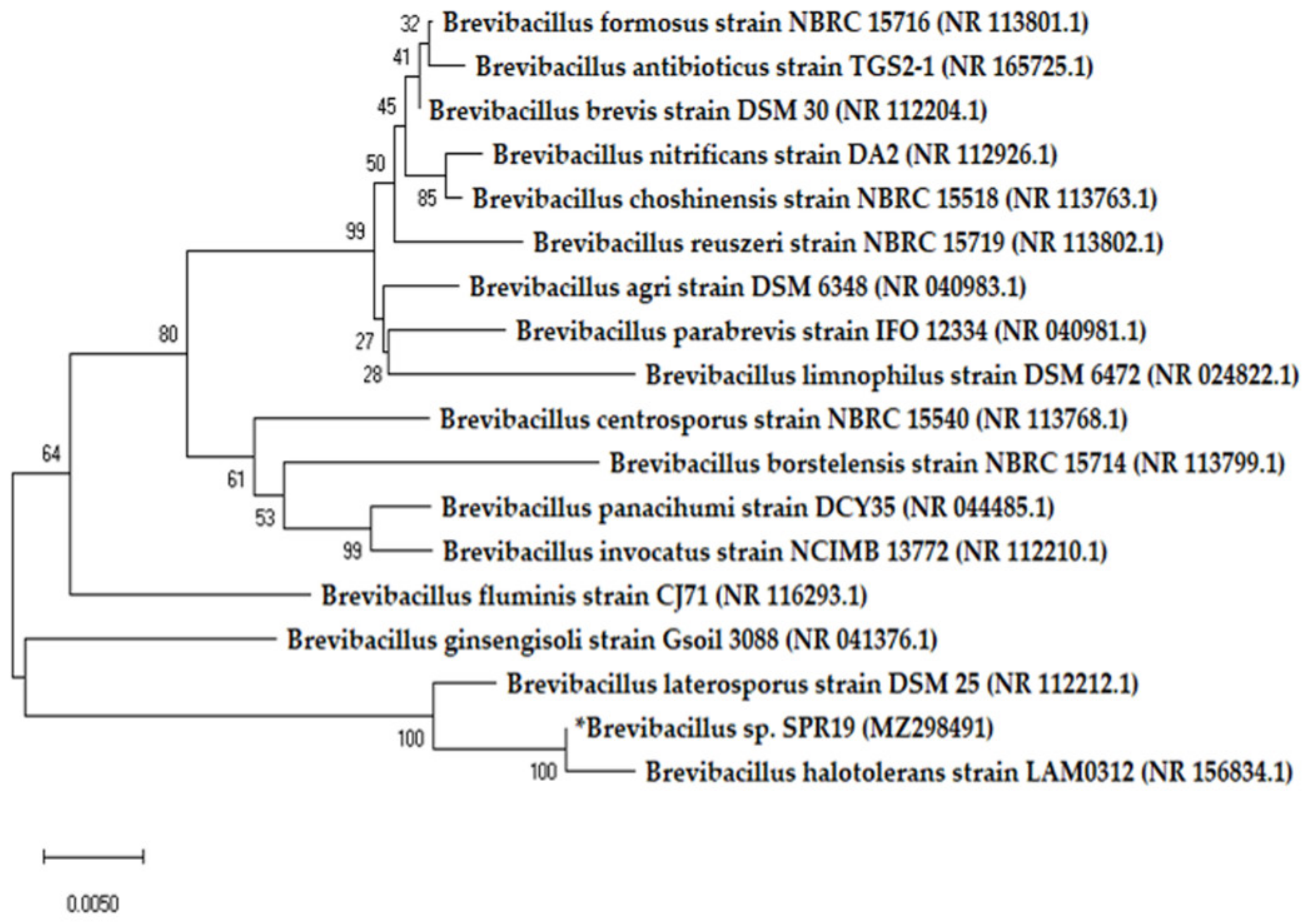 Scipharm 90 00023 g001