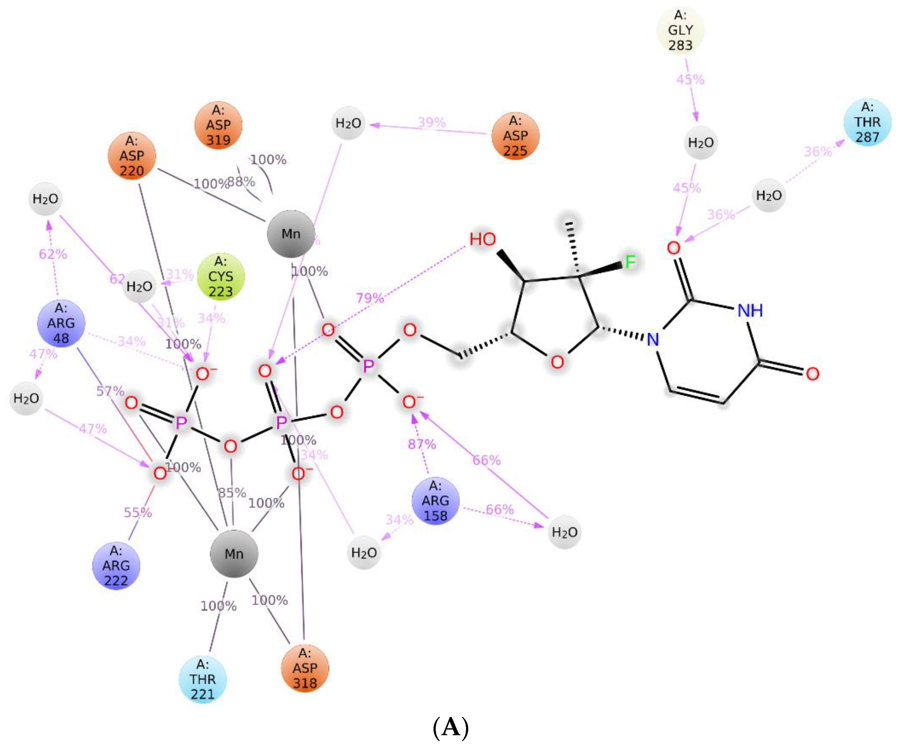 Scipharm 90 00026 g003a