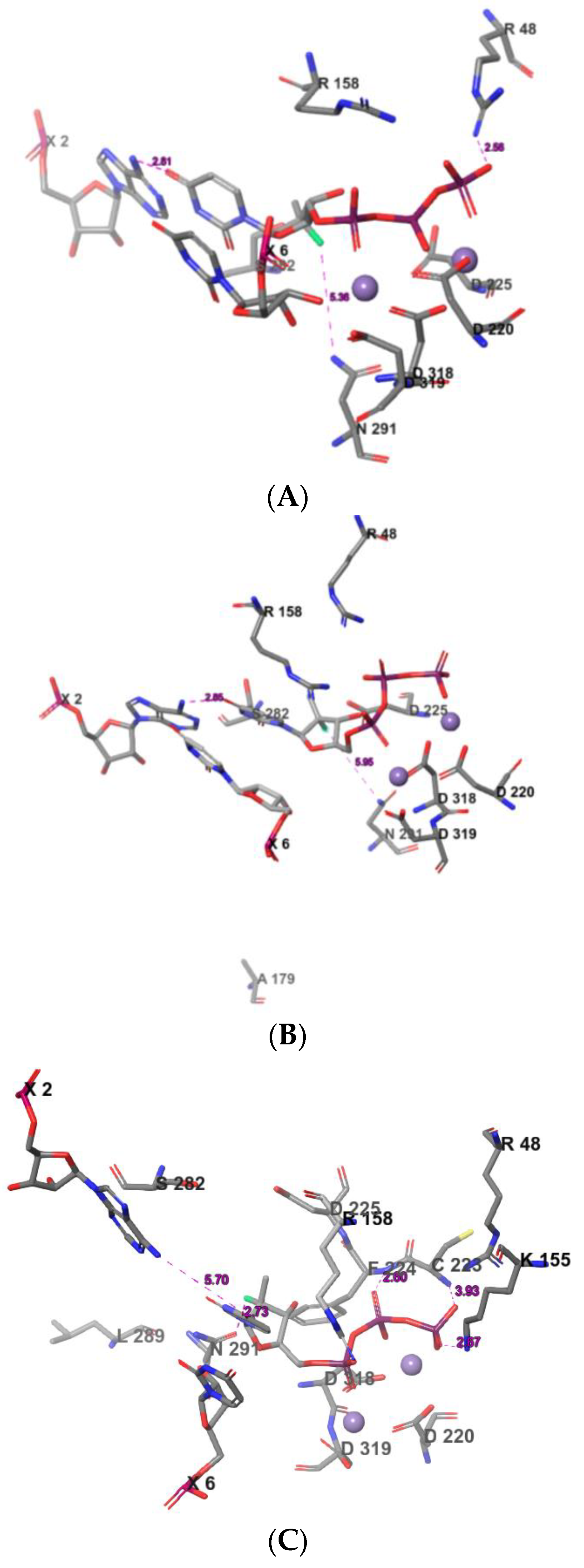 Scipharm 90 00026 g005