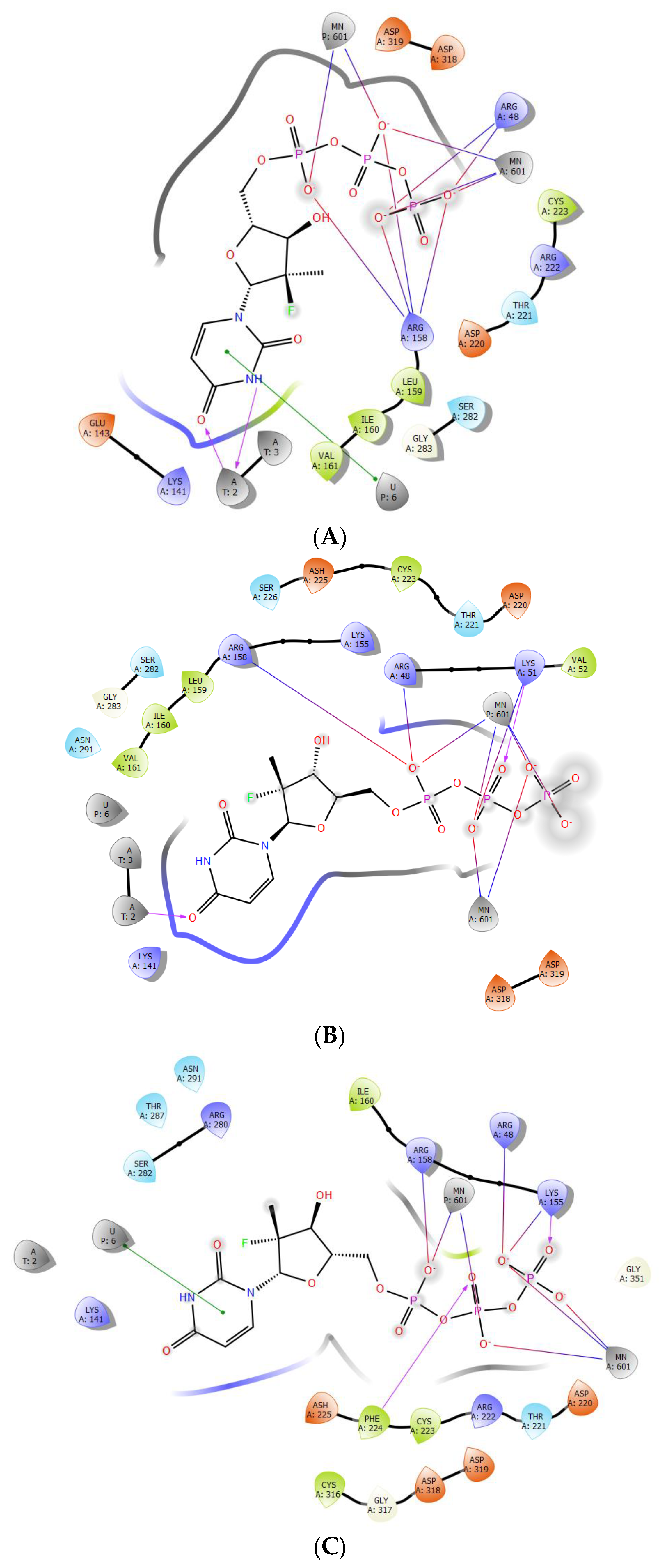 Scipharm 90 00026 g006