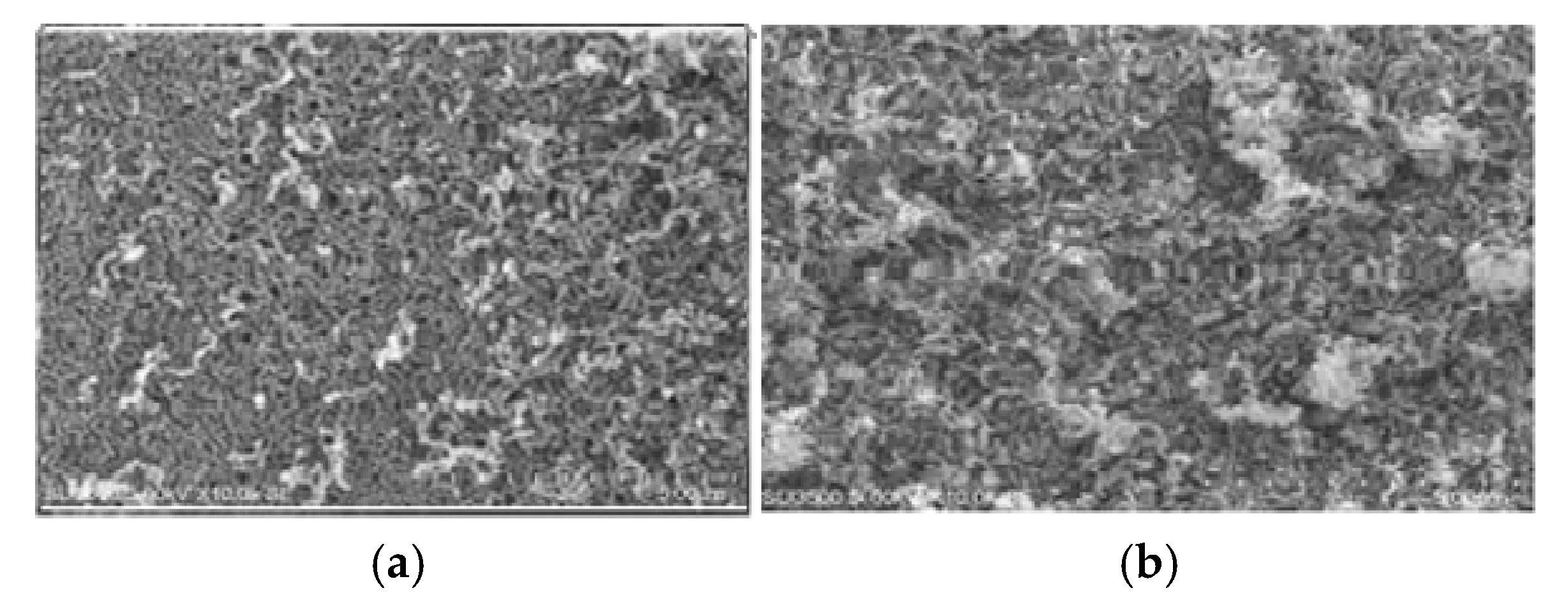 Scipharm 90 00027 g004