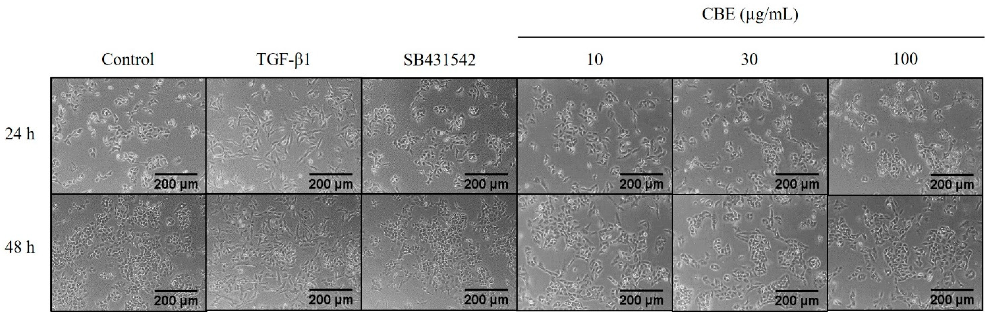 Scipharm 90 00030 g003