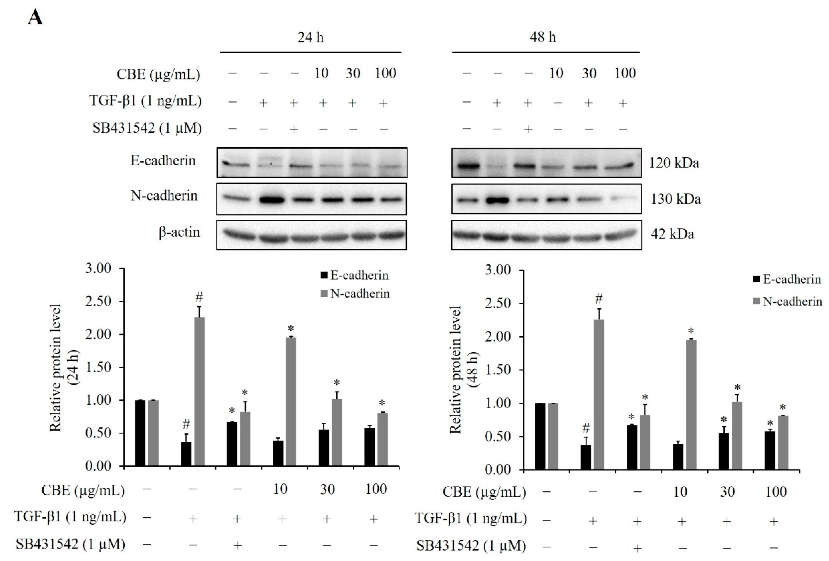 Scipharm 90 00030 g004a