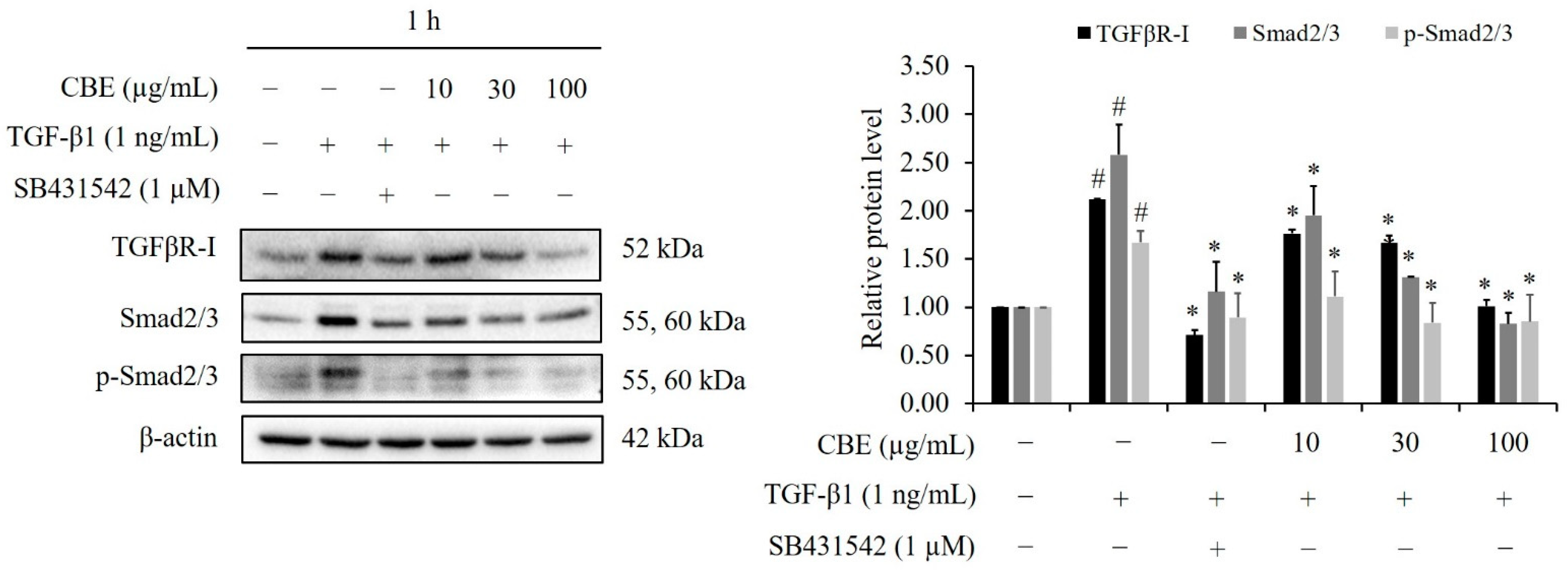 Scipharm 90 00030 g006