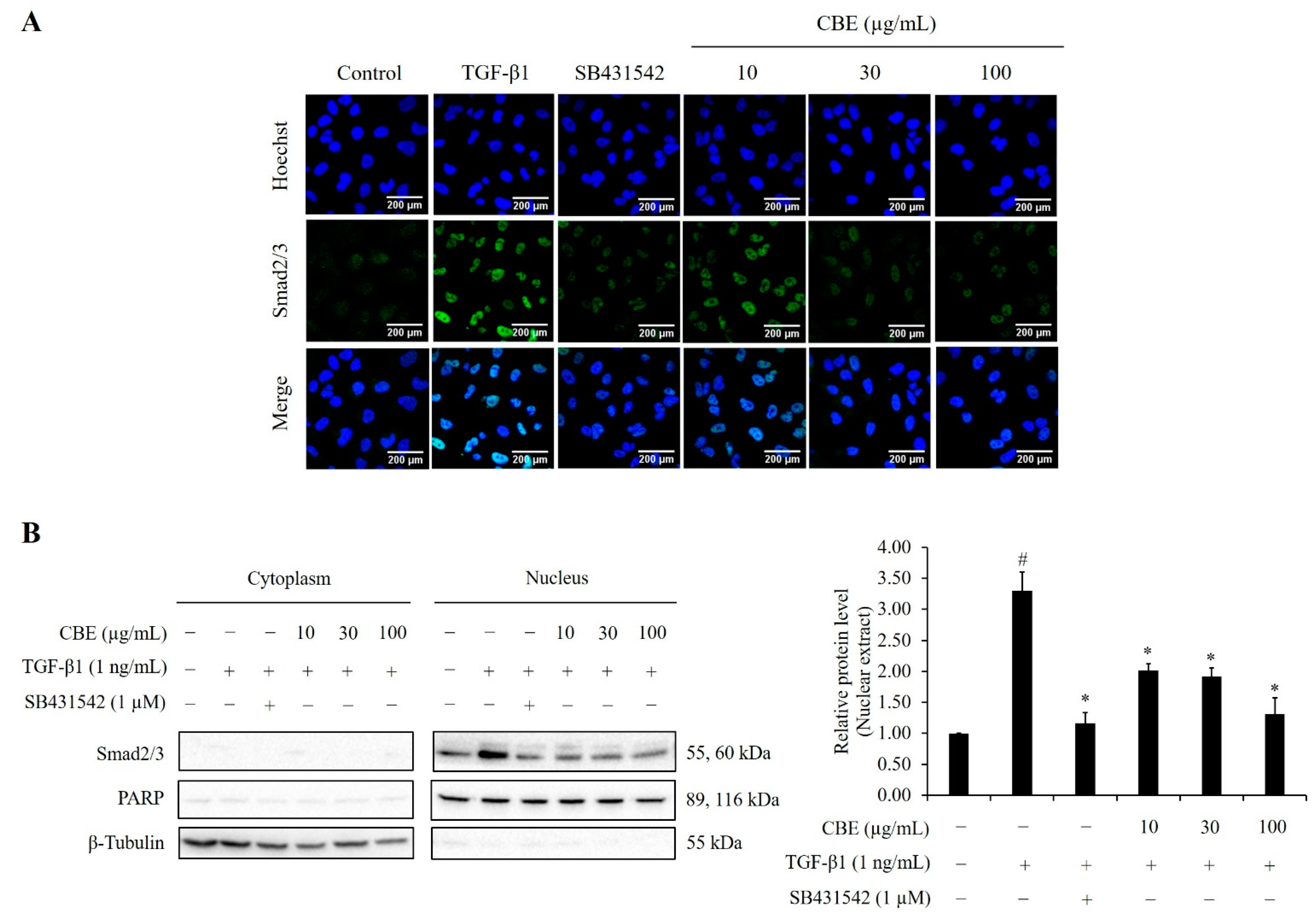 Scipharm 90 00030 g007