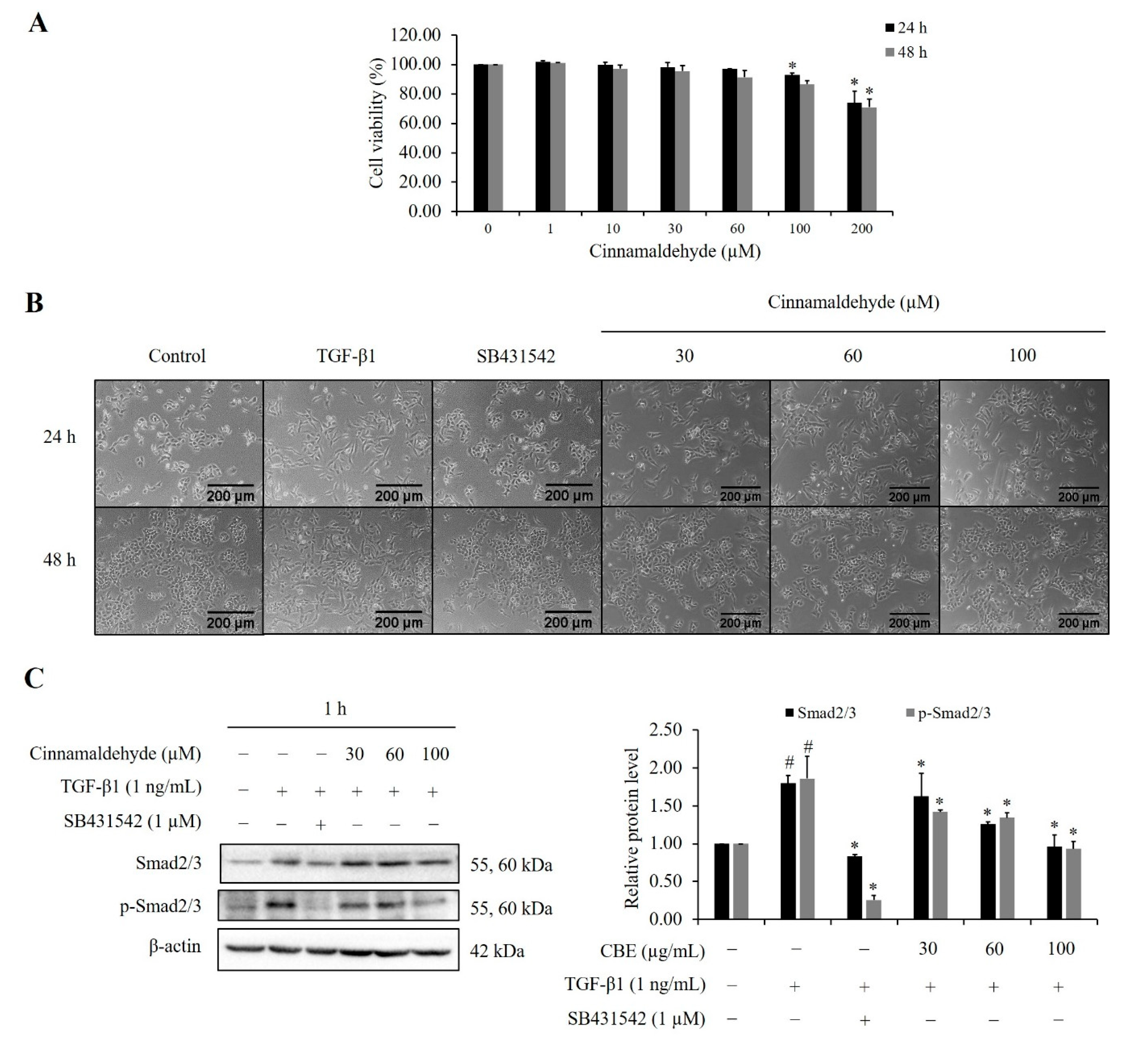 Scipharm 90 00030 g009a