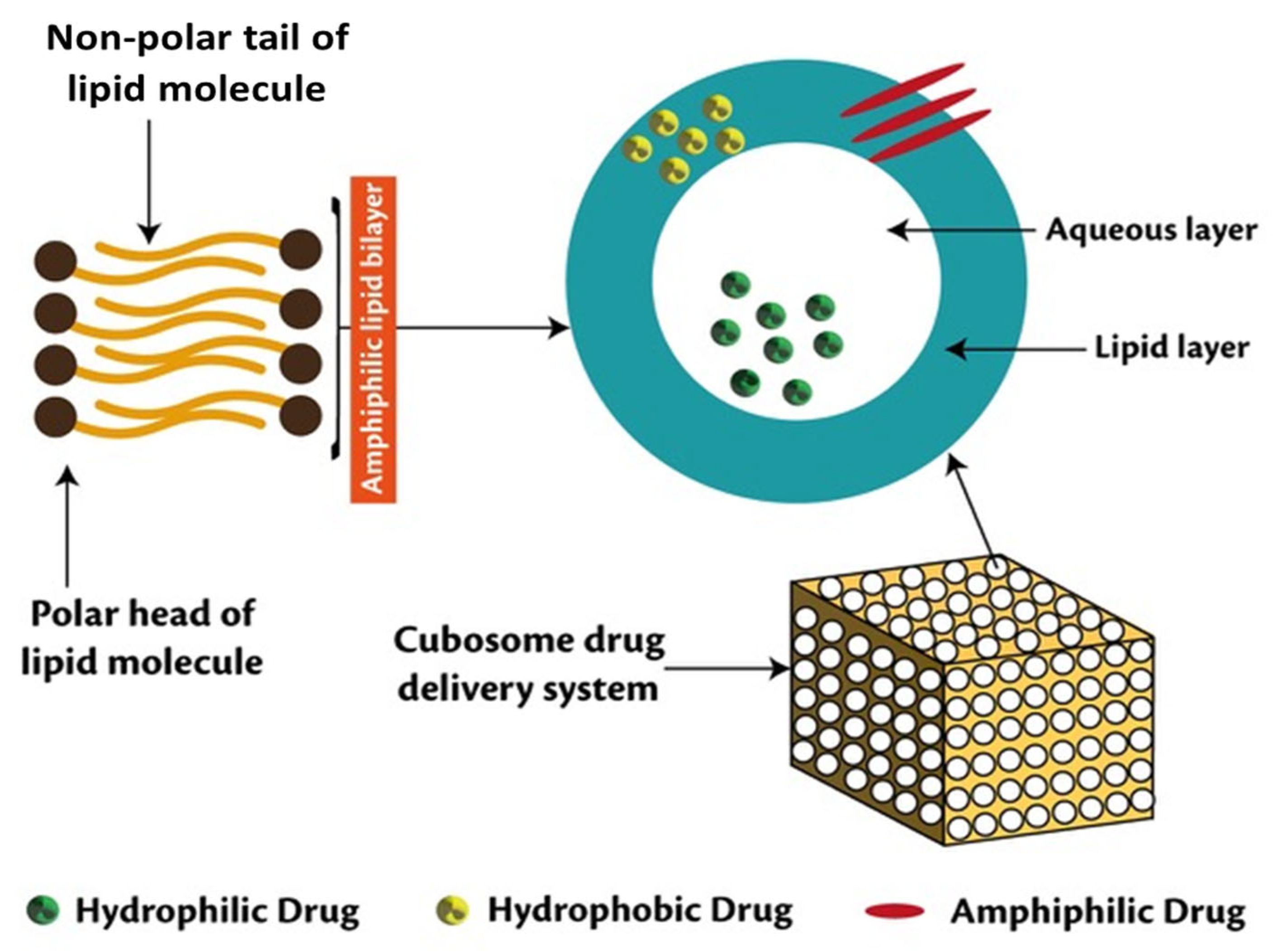 Scipharm 90 00039 g002
