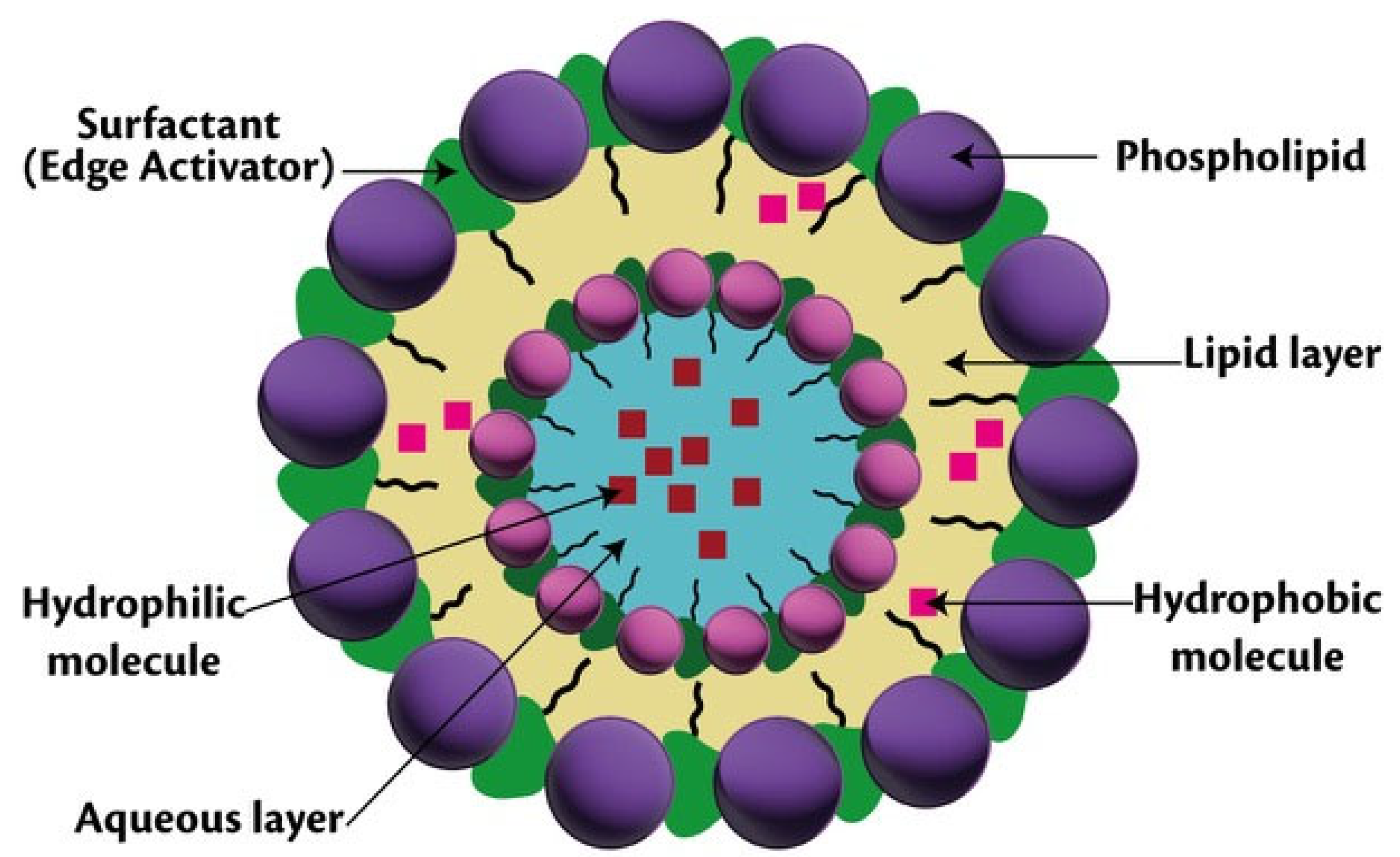 Scipharm 90 00039 g003