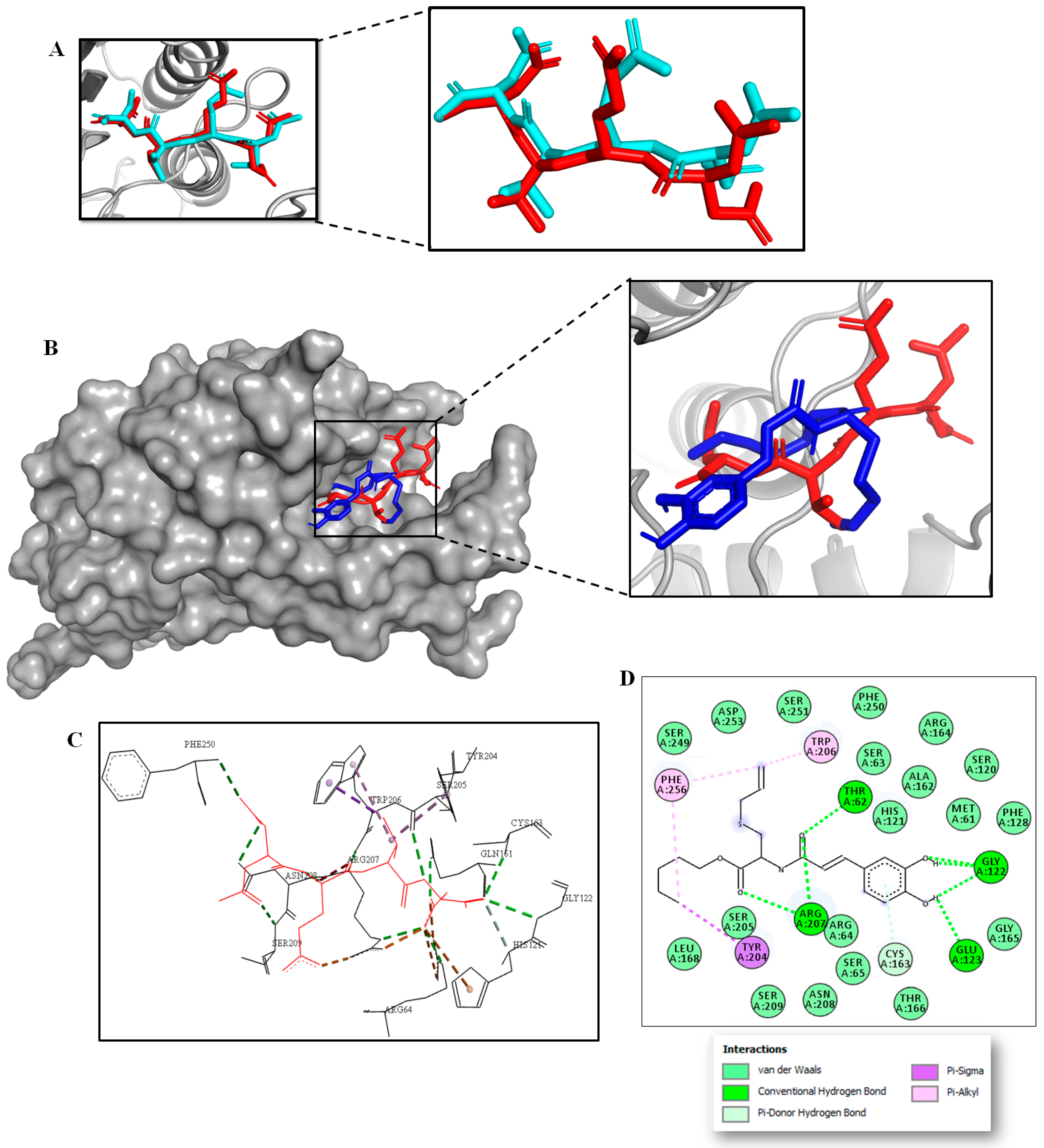Scipharm 90 00040 g006