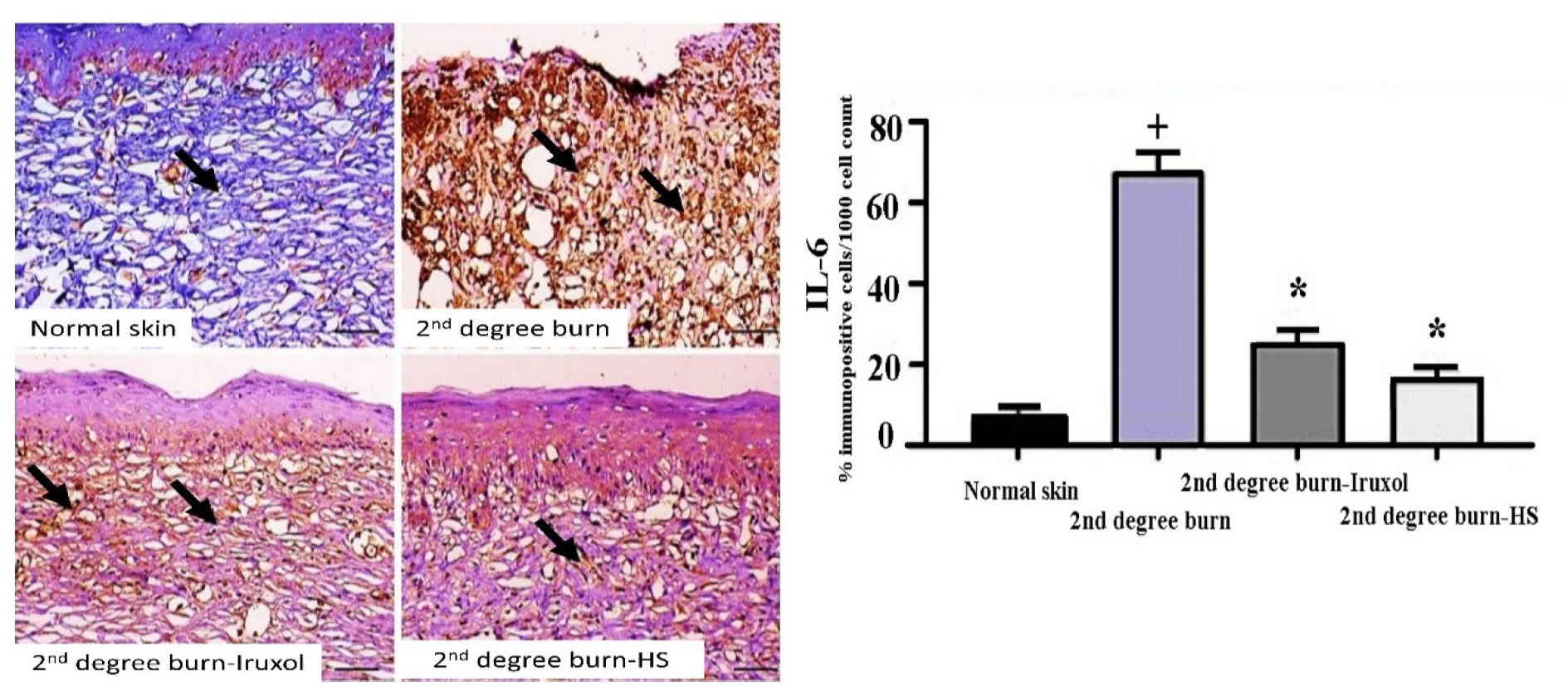 Scipharm 90 00041 g004