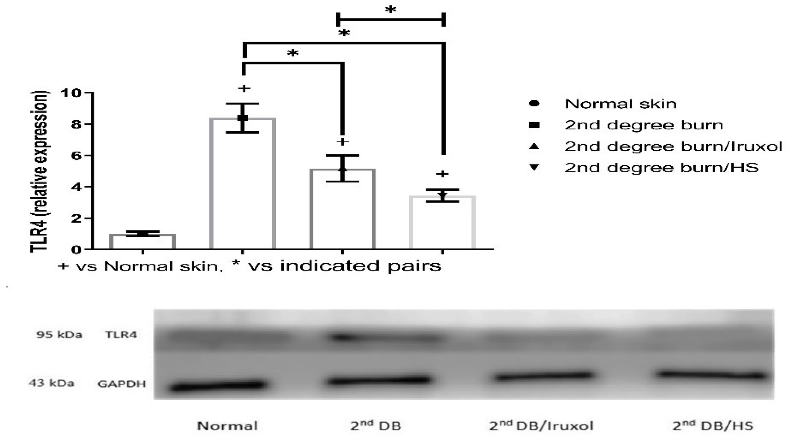 Scipharm 90 00041 g008
