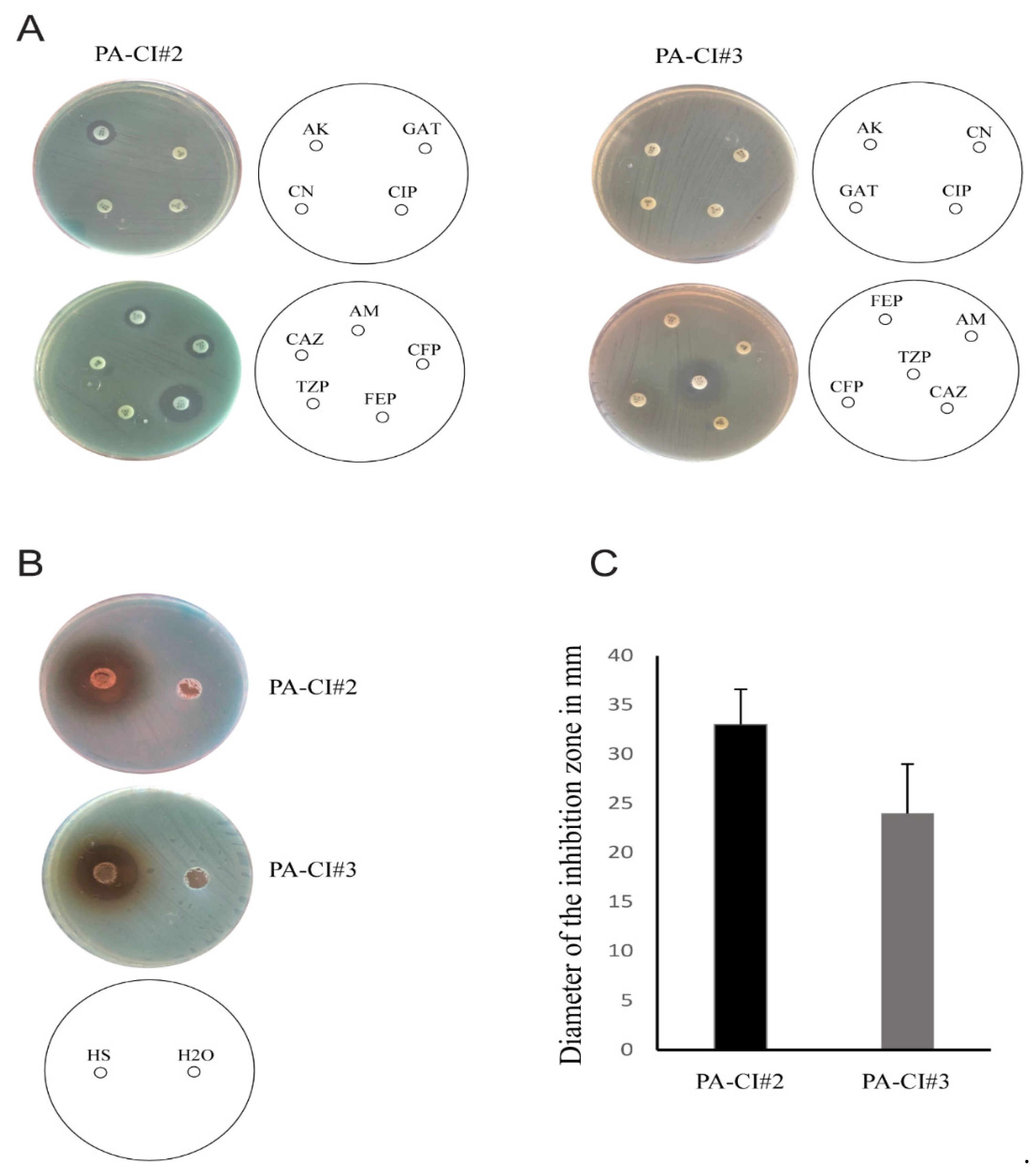 Scipharm 90 00041 g009