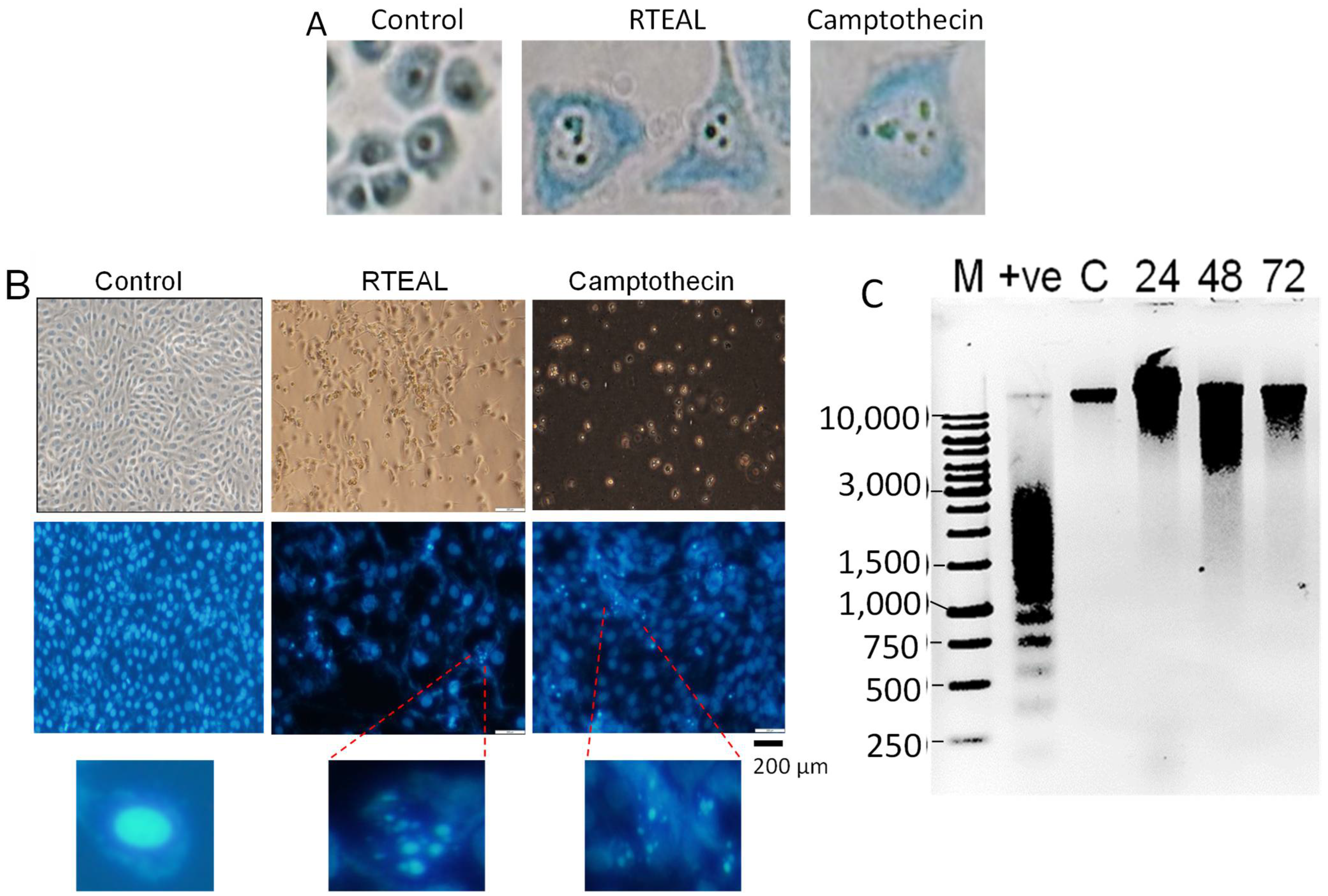 Scipharm 90 00044 g002
