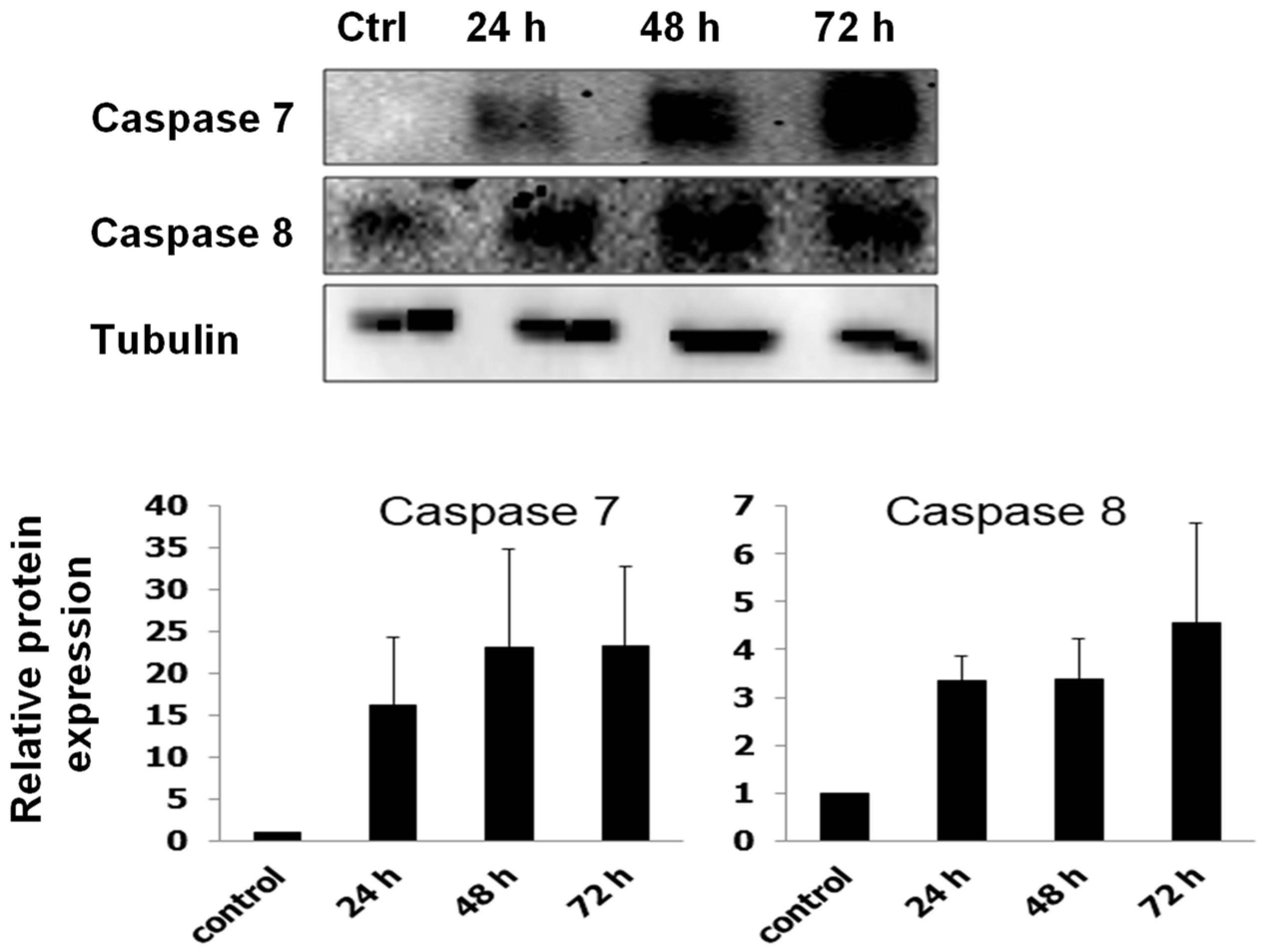 Scipharm 90 00044 g005