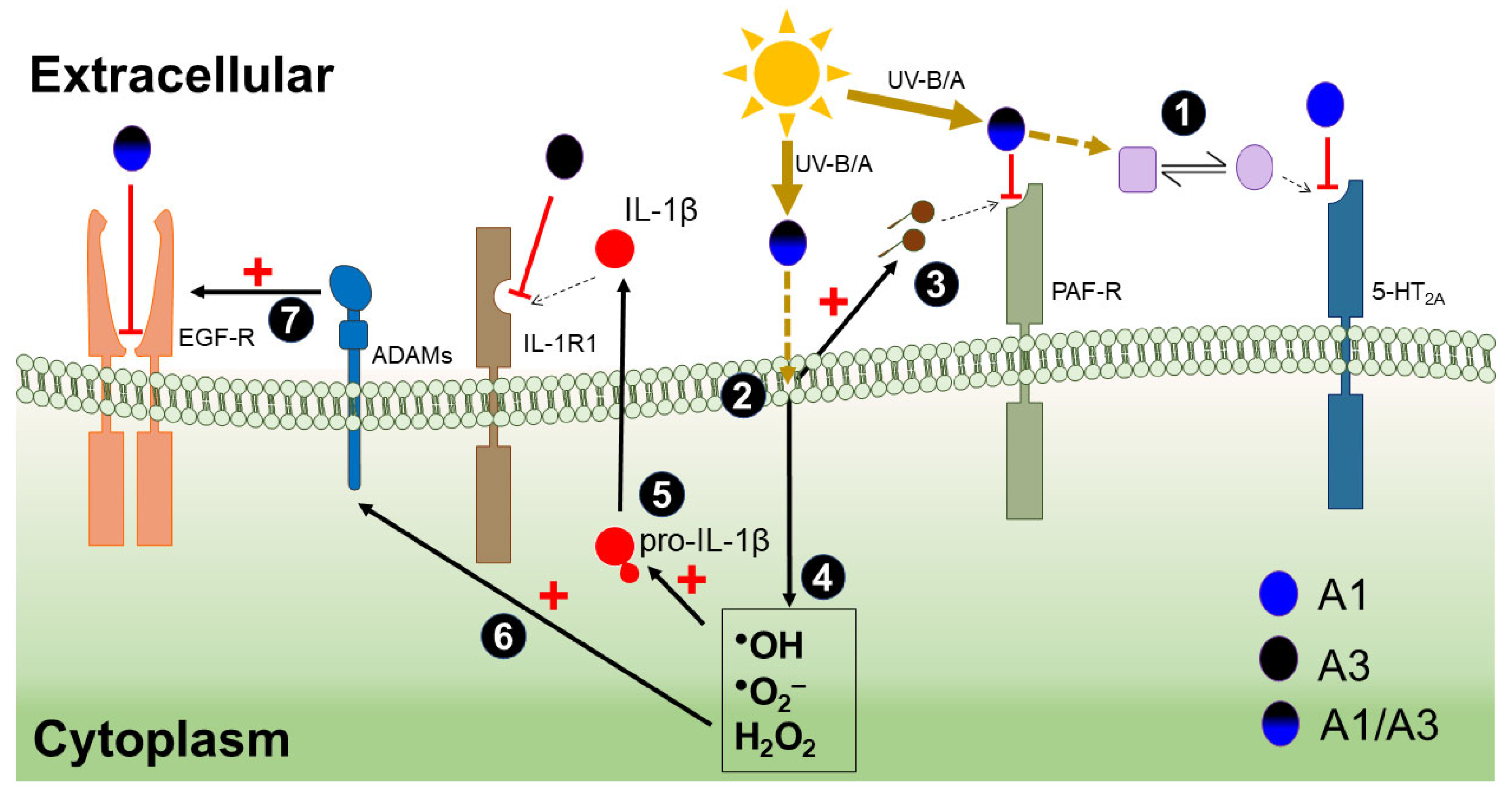 Scipharm 90 00048 g013