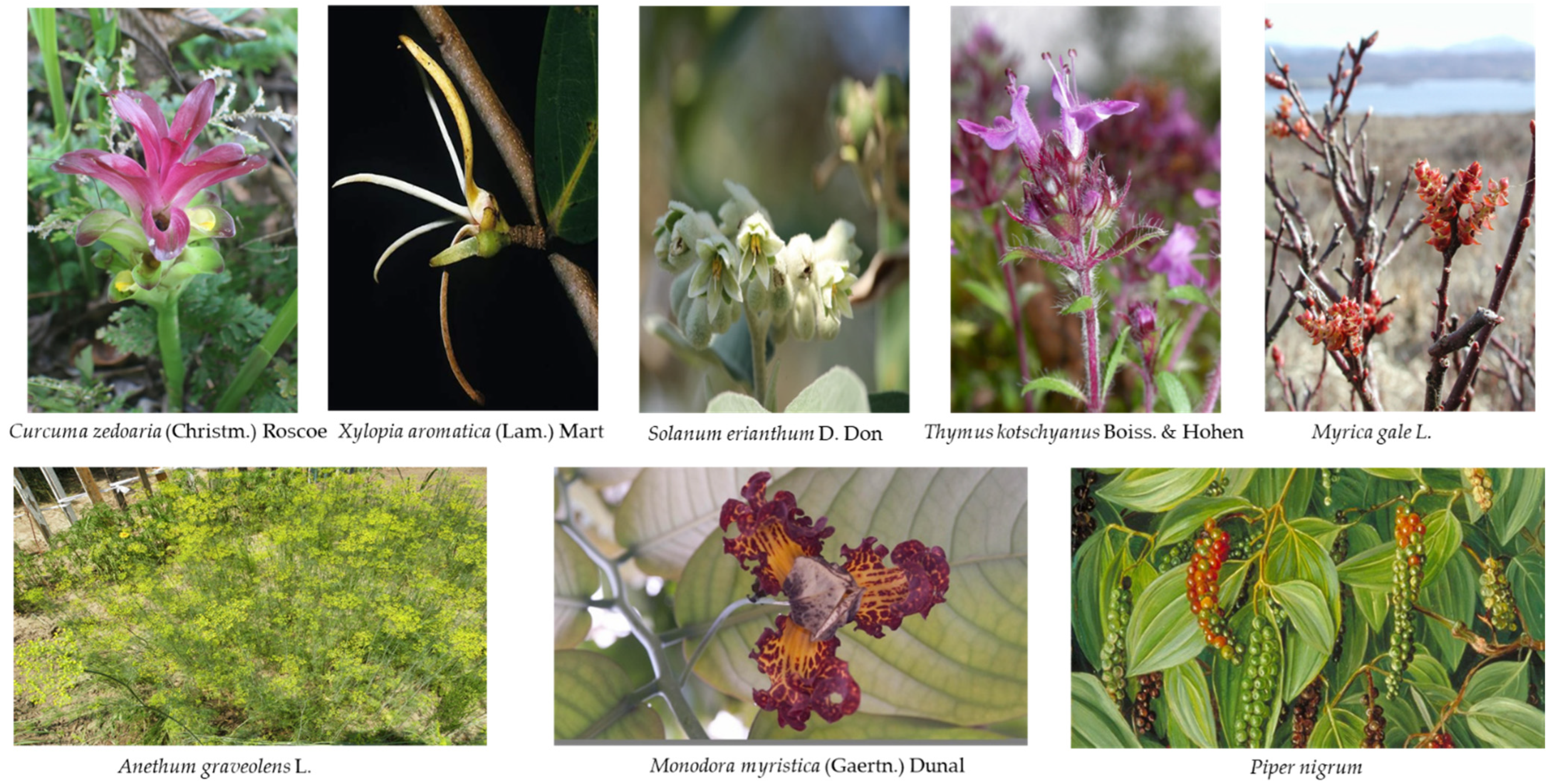 Scipharm 90 00057 g001