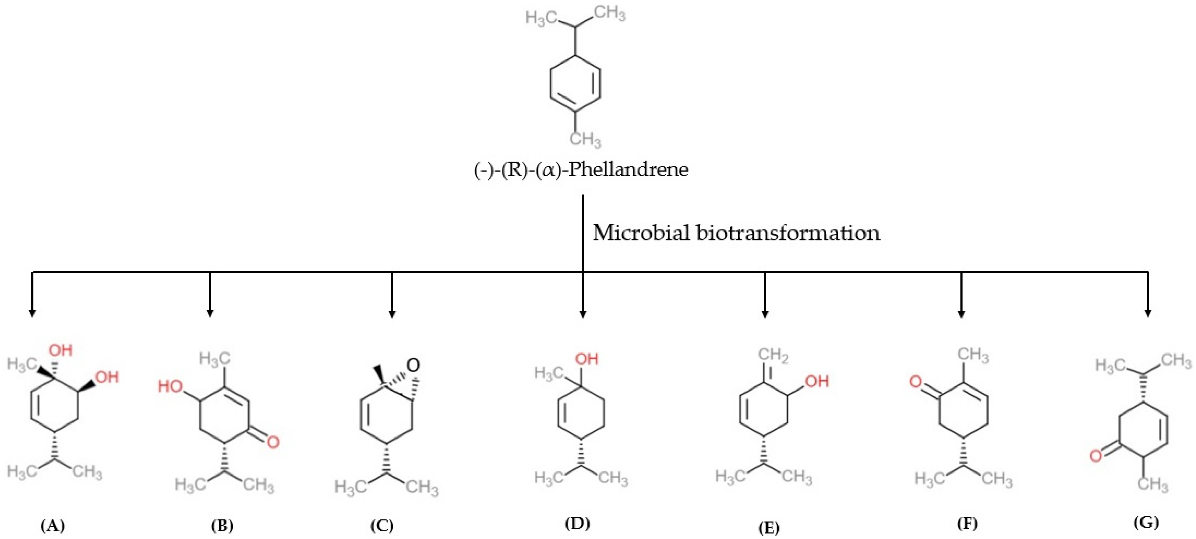 Scipharm 90 00057 g004