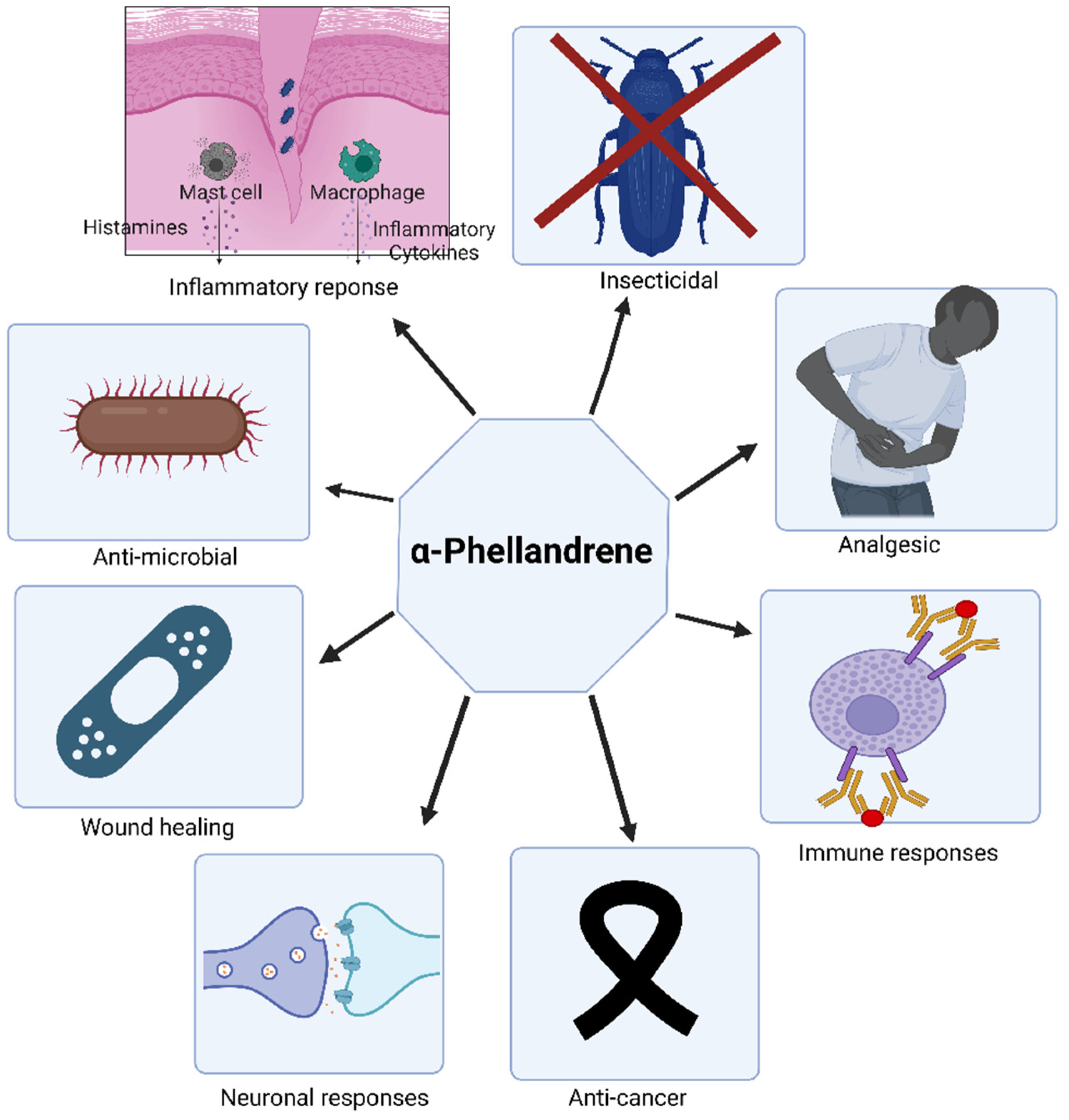 Scipharm 90 00057 g005