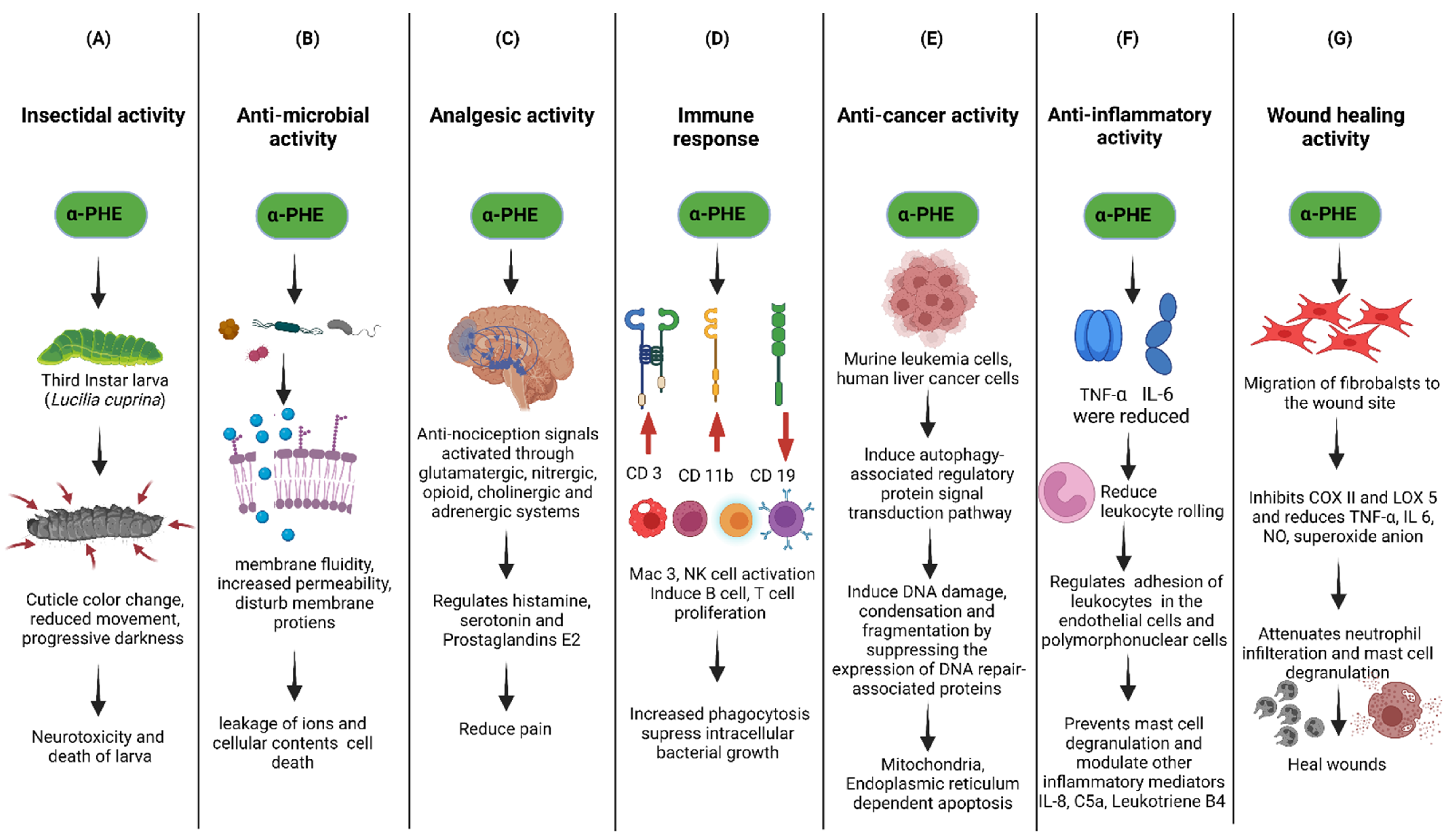 Scipharm 90 00057 g006