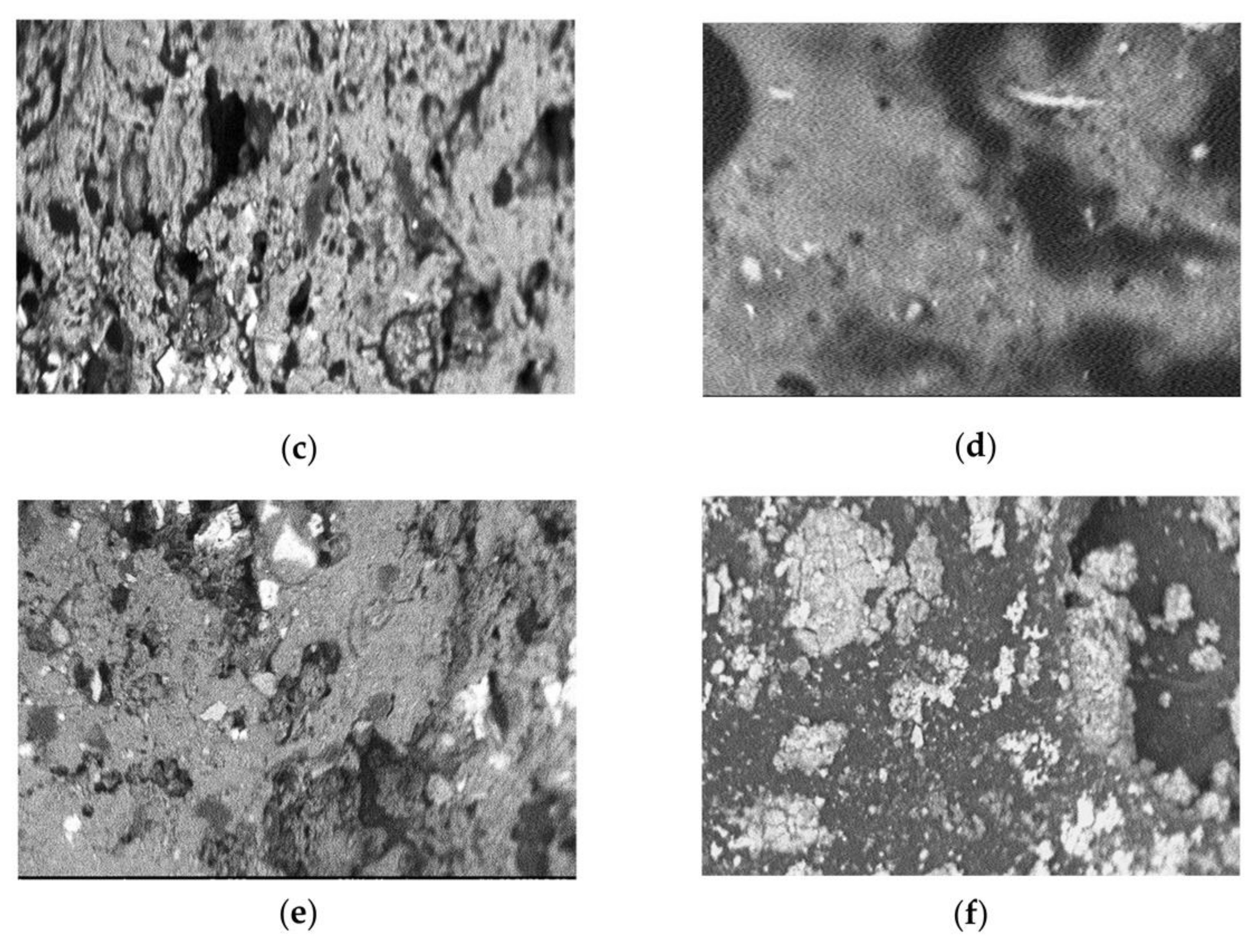 Scipharm 90 00066 g001b