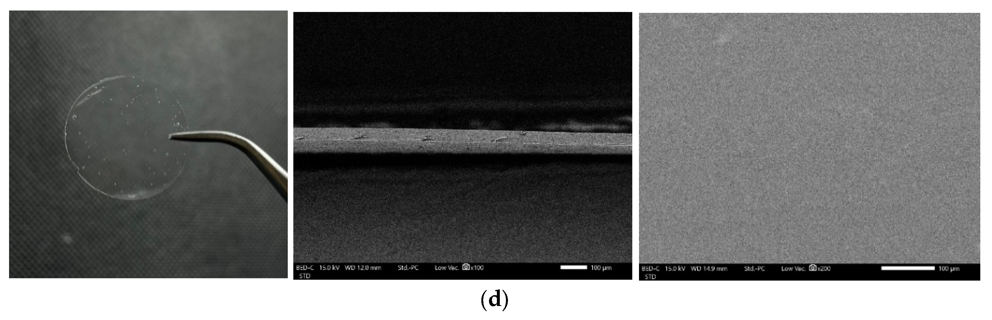 Scipharm 90 00068 g004b
