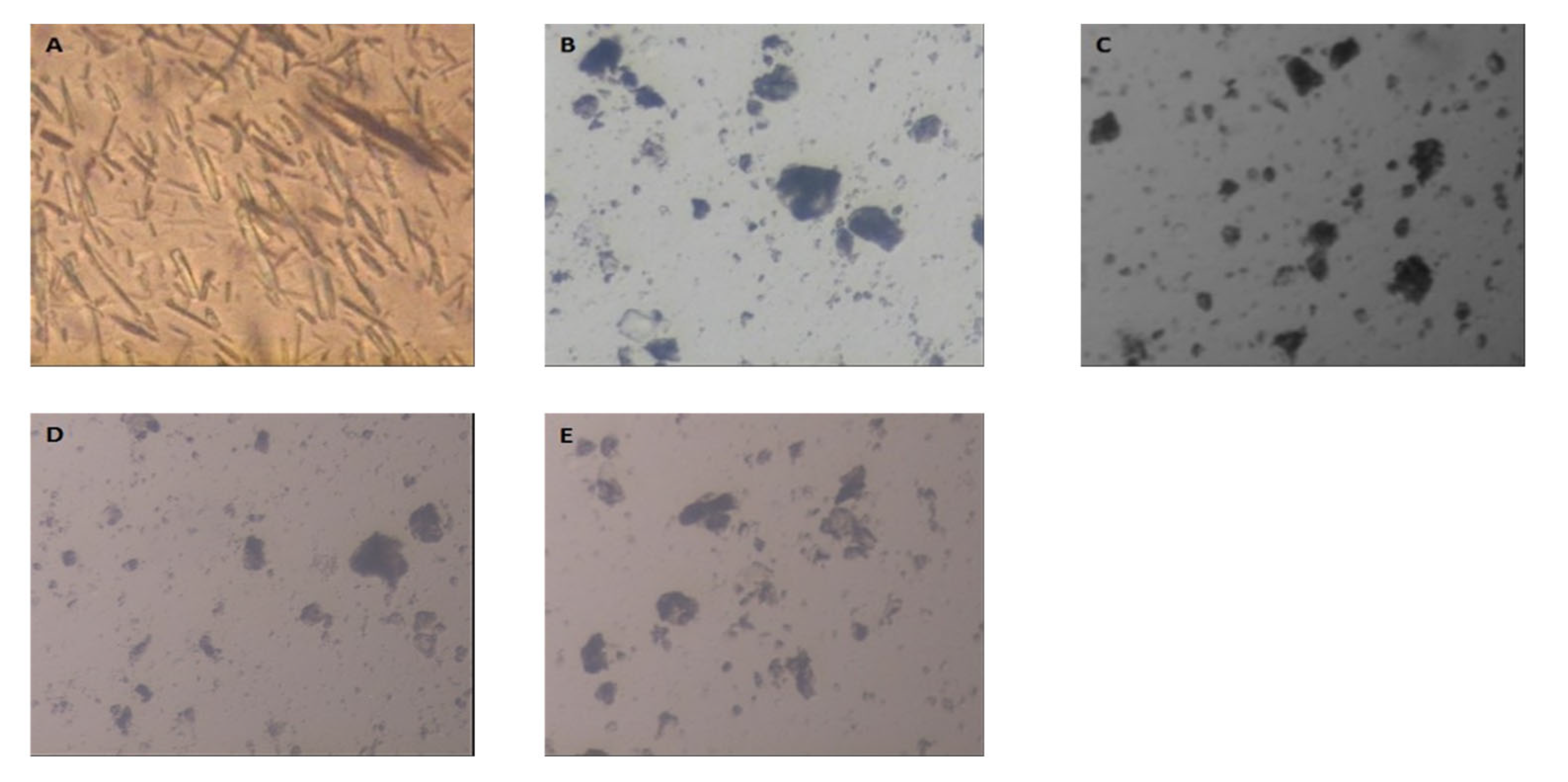Scipharm 90 00071 g002